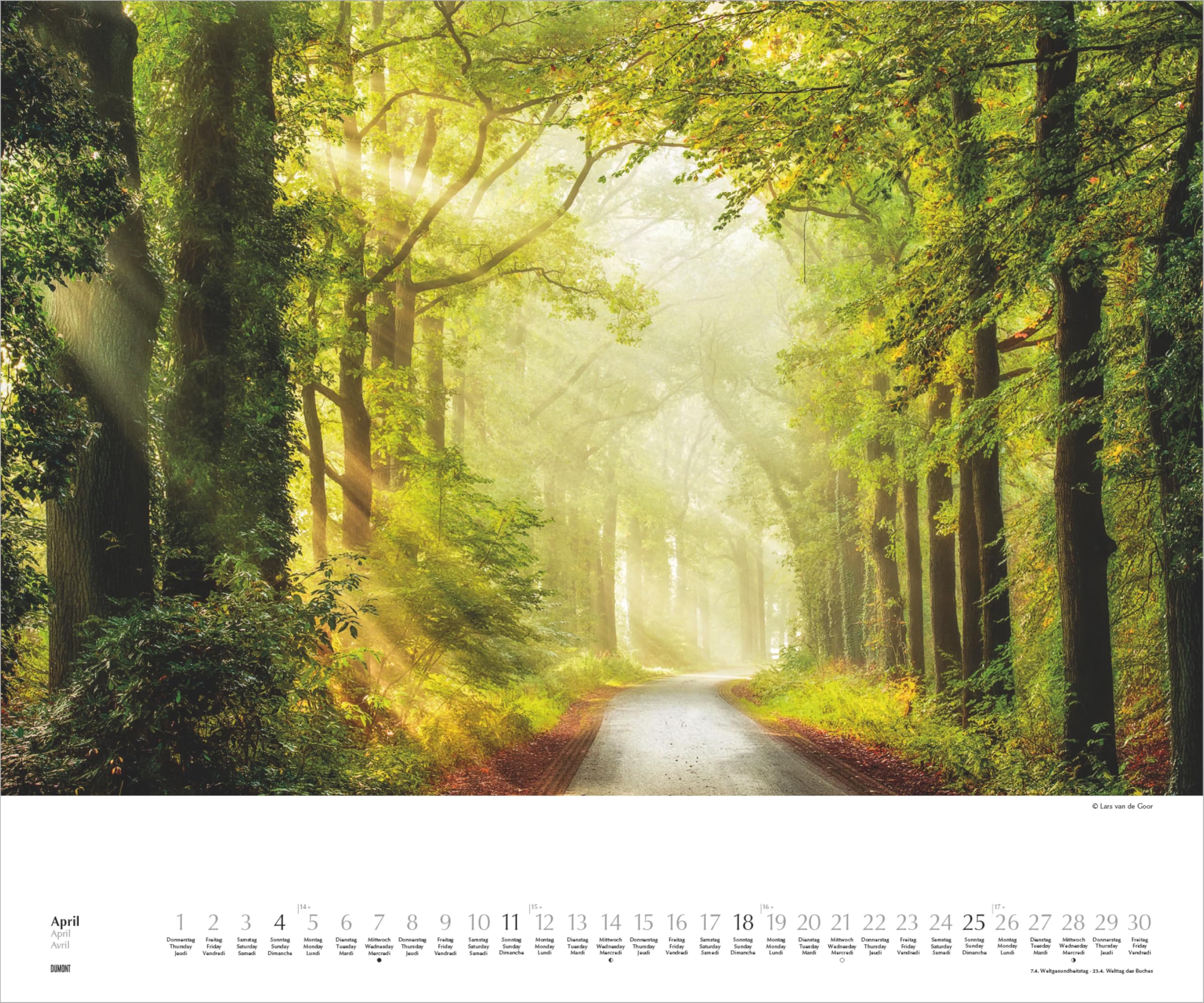 Waldspaziergang 2027: Wandkalender 60x50 cm mit Naturfotografie von Lars van de Goor und 3-sprachigem Kalendarium | Wandkalender 60x50 cm mit Naturfotografie von Lars van de Goor und 3-sprachigem Kalendarium