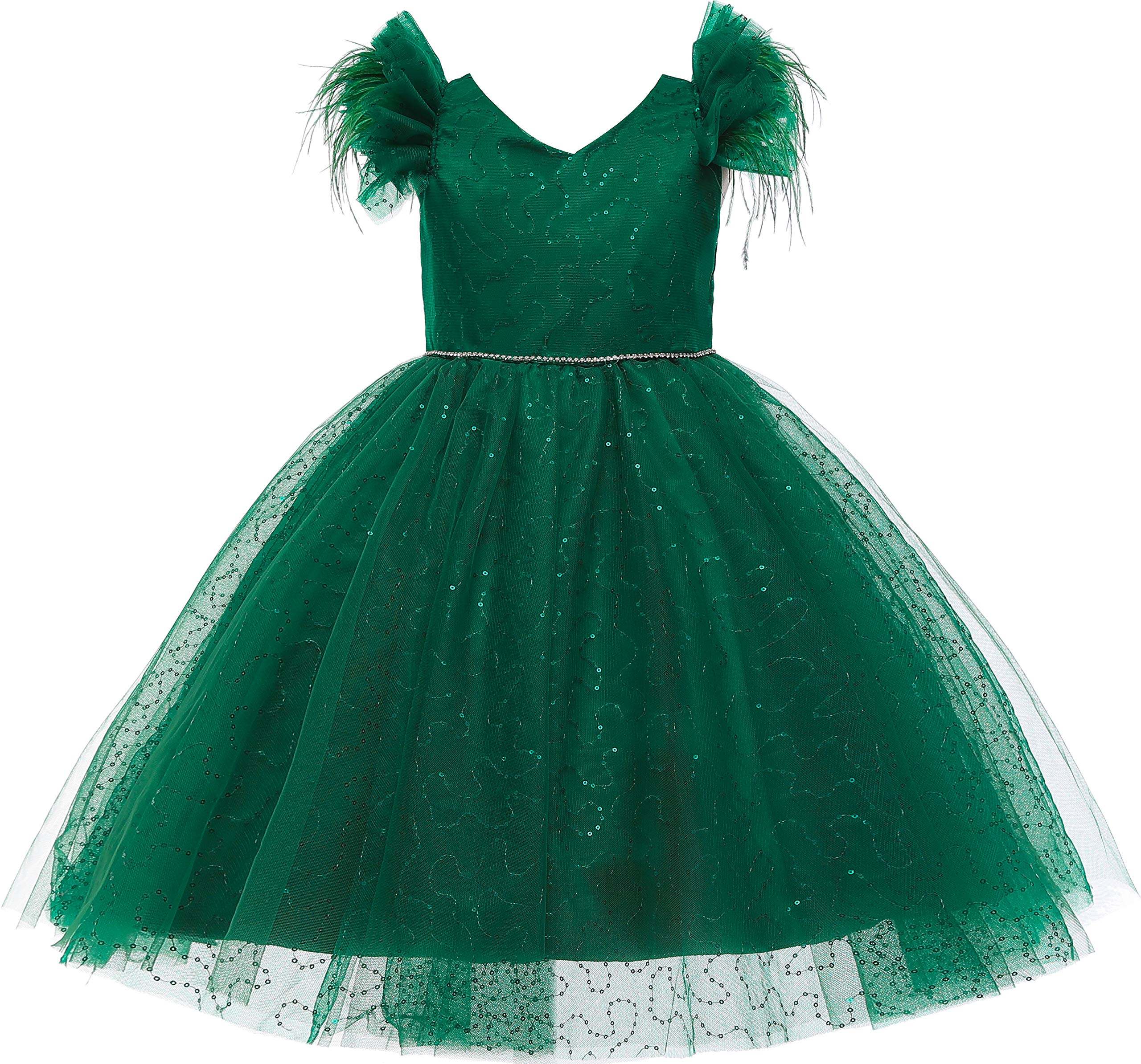 Weileenice Little/Big Girl Party Dress Tulle Girls Wedding Pageant Gown Kids Vintage Prom Holiday Tutu Dresses