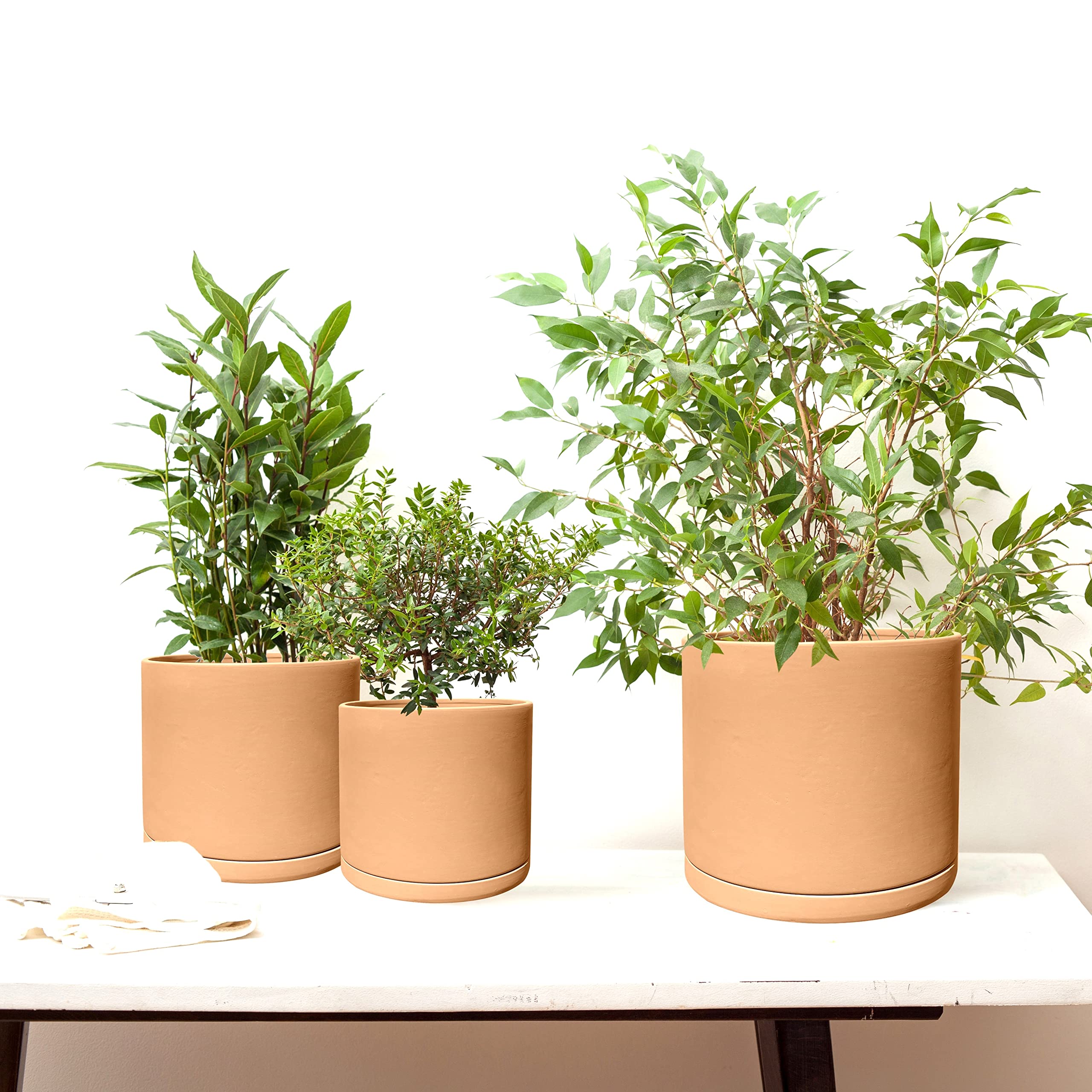 Olly & Rose Juego de 3 macetas de Terracota de Roma para jardín, macetas Redondas de cerámica para Interiores y Exteriores con platillos