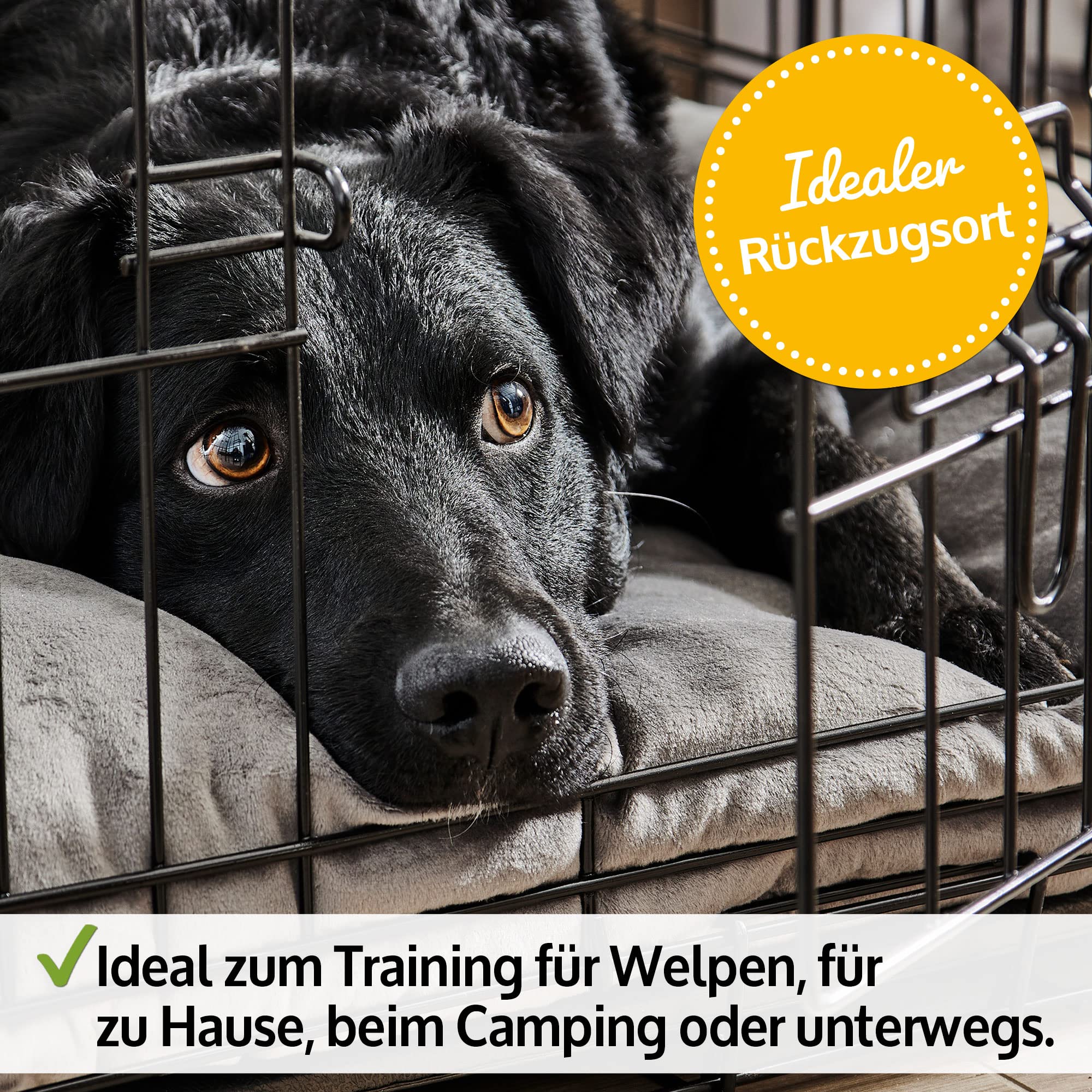 zooprinz Faltbare Hundebox L 90x57x63 cm mit 2 Türen | Aus stabilem Eisen, mit Bodenschale und Transportgriff, faltbar, in 4 Größen verfügbar
