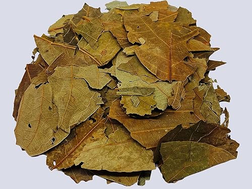 Miniatura 1 de Hojas de té de aguacate infusión de hierbas Hojas de Aguacate Te Paquete económico 265oz 100 natural libre de cafeína