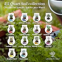 Vista 7 de Tierra para Plantas de Interior de Higuera de Hoja de Violín Mezcla Premium Multiusos Grande 2.2 Cuartos Lista para Usar en Plantas
