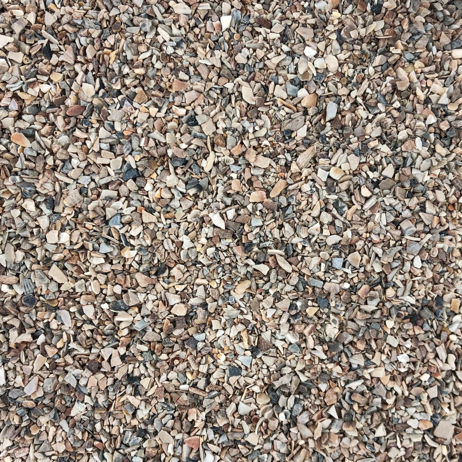 Supravit Vogelgrit 4kg – Grit für Vögel & Geflügel – Mineralgrit mit Calcium für Wellensittiche, Papageien, Nymphensittiche, Tauben & Hühner – Verdauungshilfe & Ergänzungsfutter
