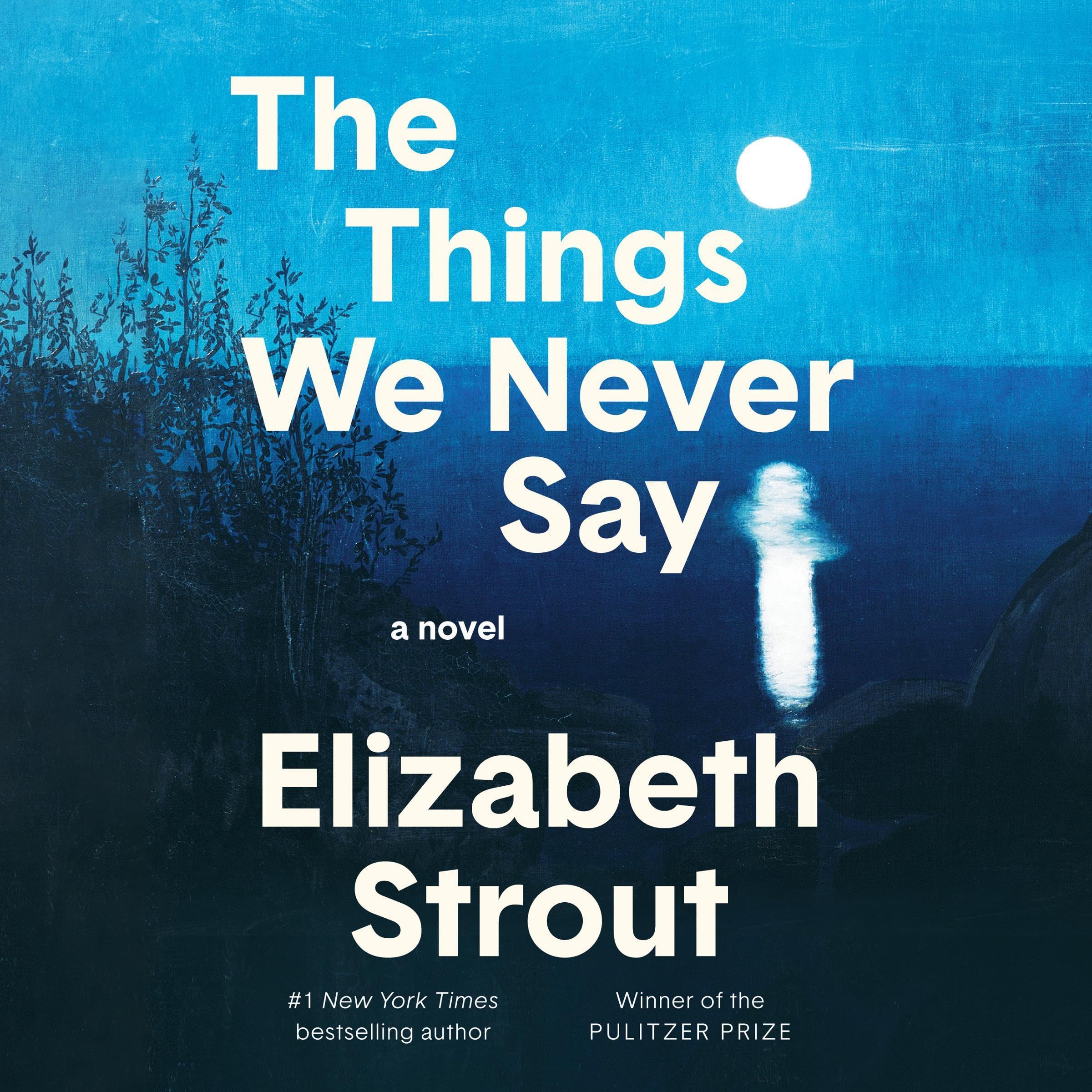 Cover art for The Things We Never Say