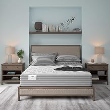 Kingsdown Passions Aspiration 14" Plush Hybrid Mattress, California King, Tan