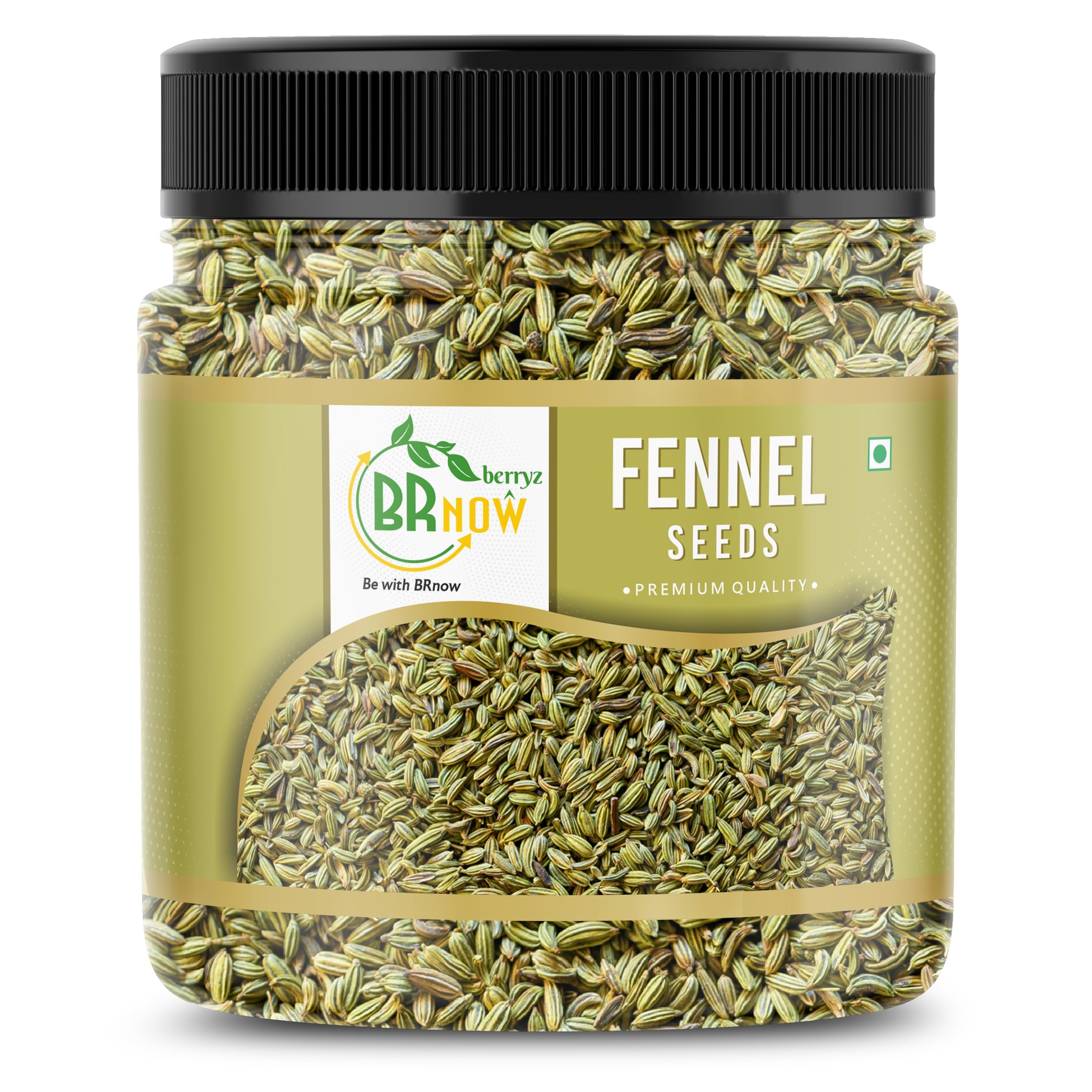 BRnow berryz Fresh & Natural Fennel Seeds | Saunf | Variyali | Whole Indian Spices with Authentic taste & Strong Aroma (950gm) (B0CX5CPPR2) Amazon Price History, Amazon Price Tracker