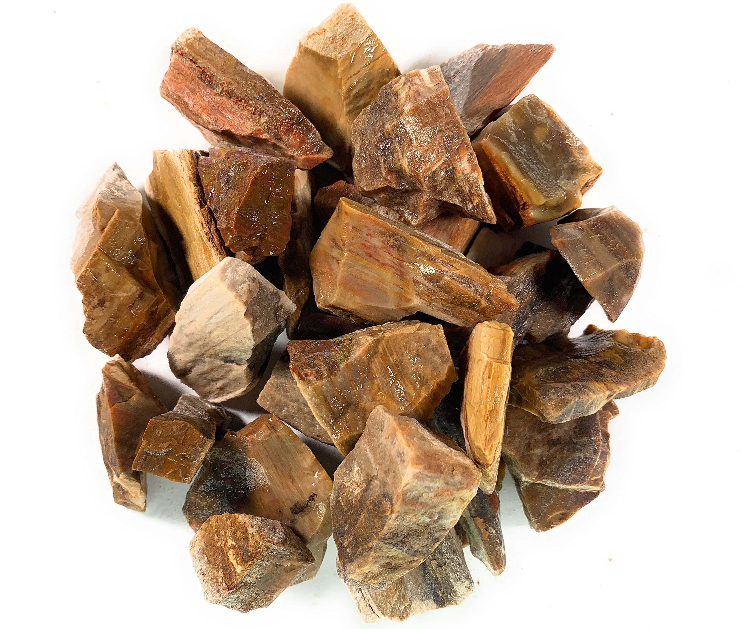 Materials: 1 lb Bulk Rough Petrified Wood Stones from Madagascar - Raw Natural Crystals for Cabbing, Cutting, Lapidary, Tumbling, Polishing, Wire Wrapping, Wicca & Reiki Crystal Healing