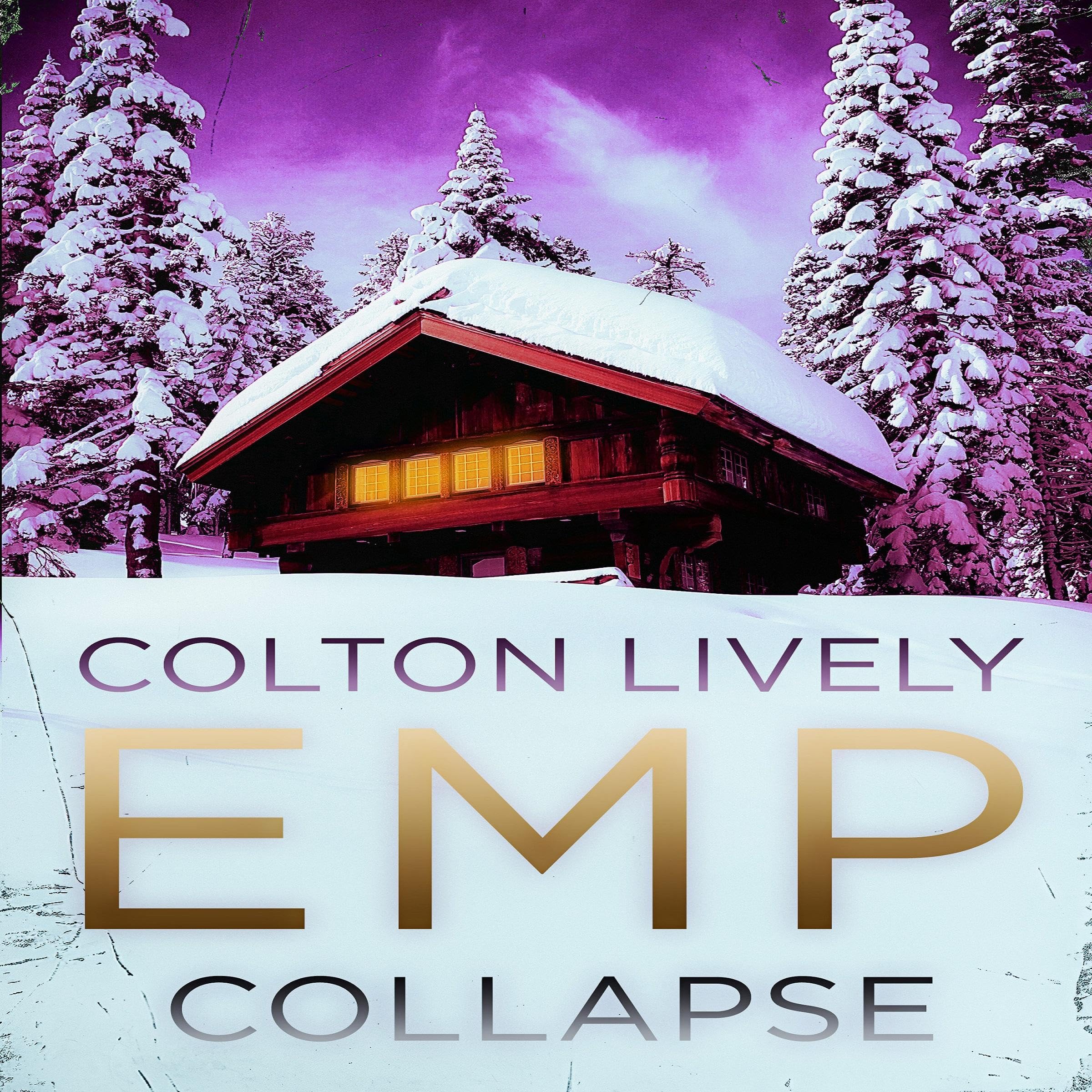 Cover art for EMP Collapse
