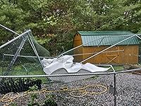 Review Image by Benny J. Benny J.