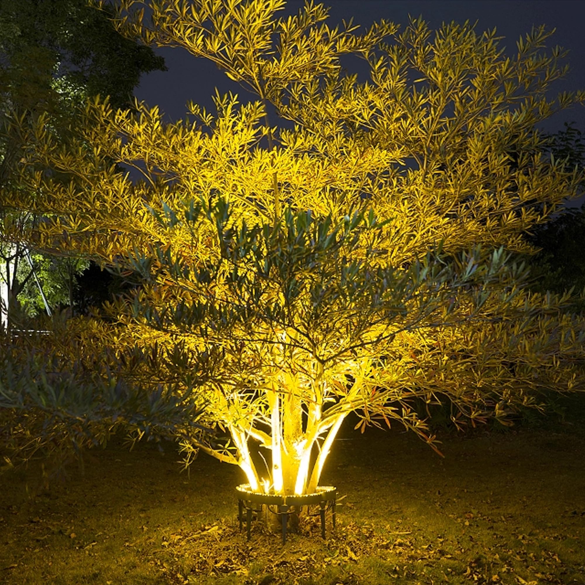 WERISE 12W Warm White LED Ring Tree Hug Light, IP65 Outdoor Waterproof DC 24V Aluminum Landscape Lighting Tree Lamp, 6 Pack