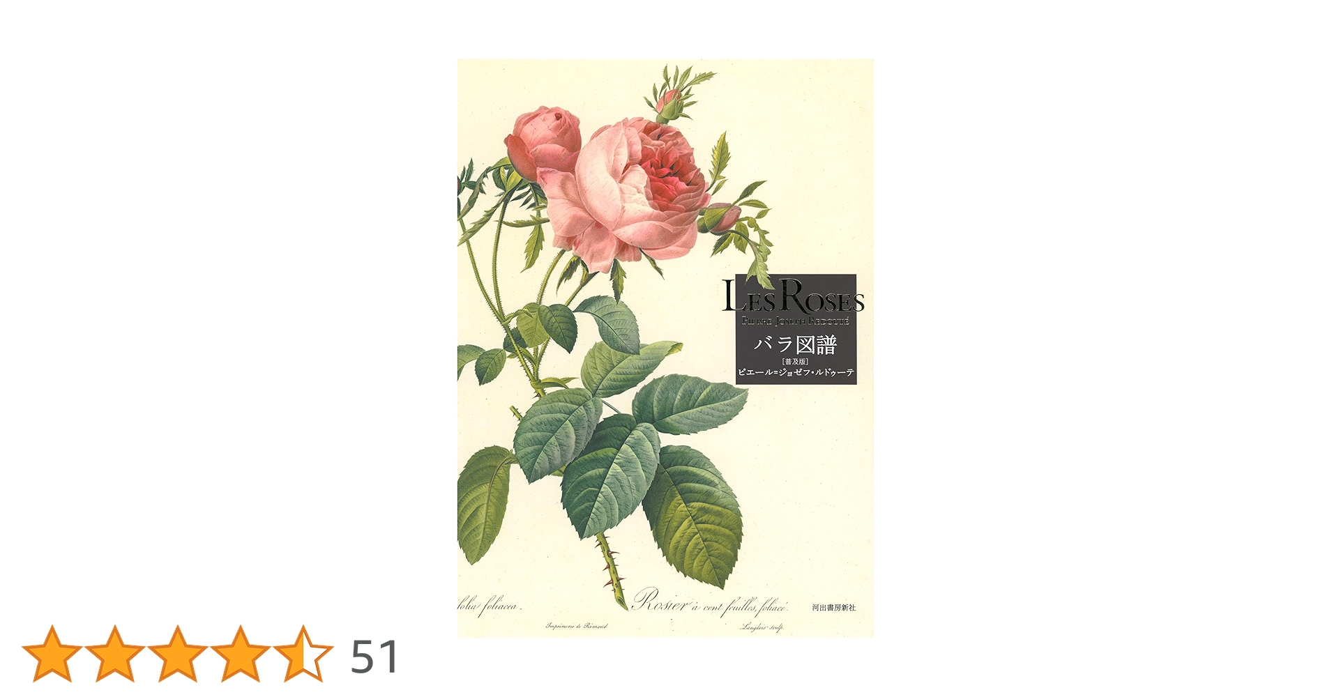 Les Roses バラ図譜 【普及版】 | ピエール=ジョセフ