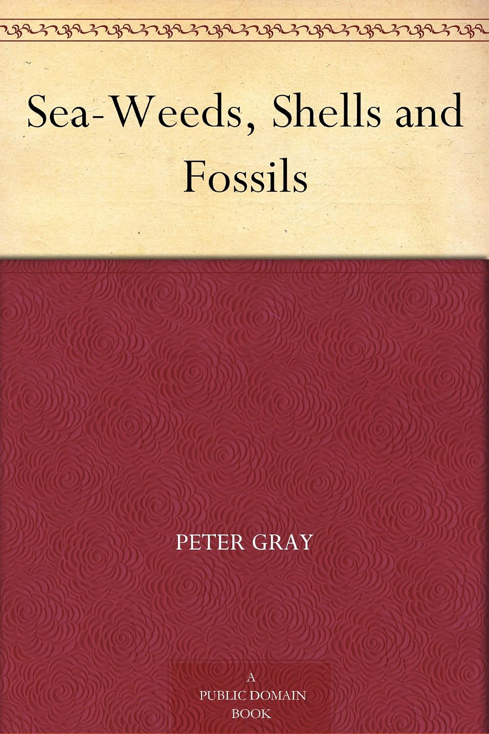 Sea-Weeds, Shells and Fossils