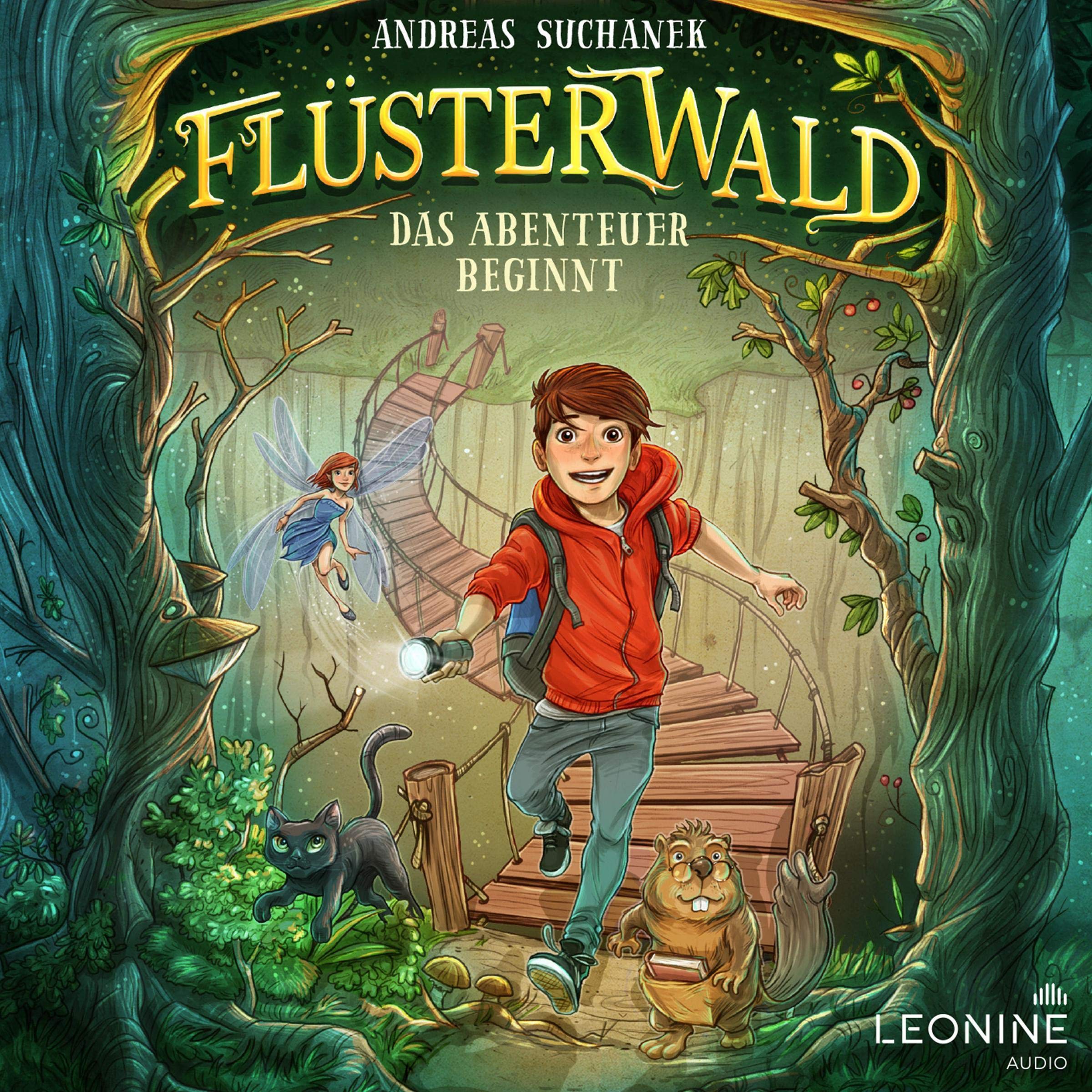 Cover art for Das Abenteuer beginnt
