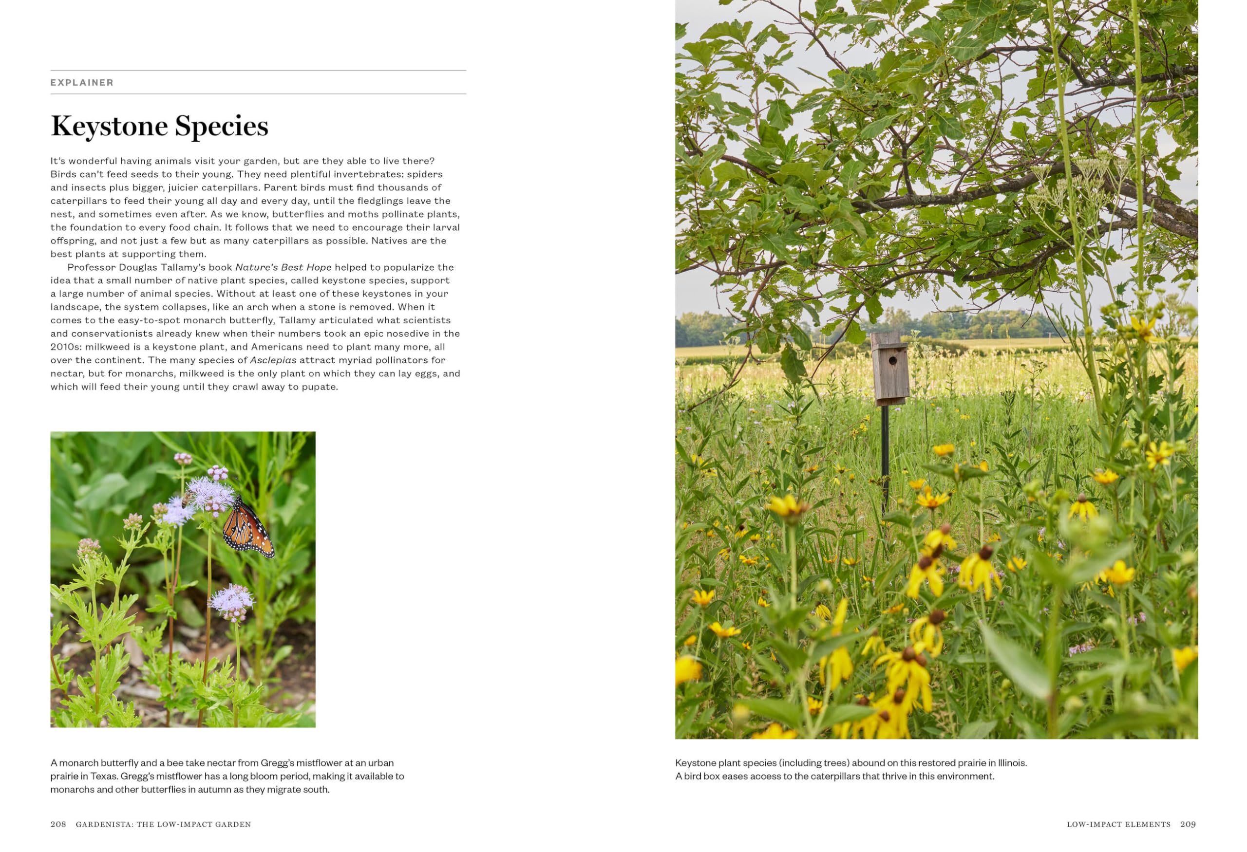 Gardenista: The Low-Impact Garden: A Sourcebook for Sustainable Outdoor Spaces