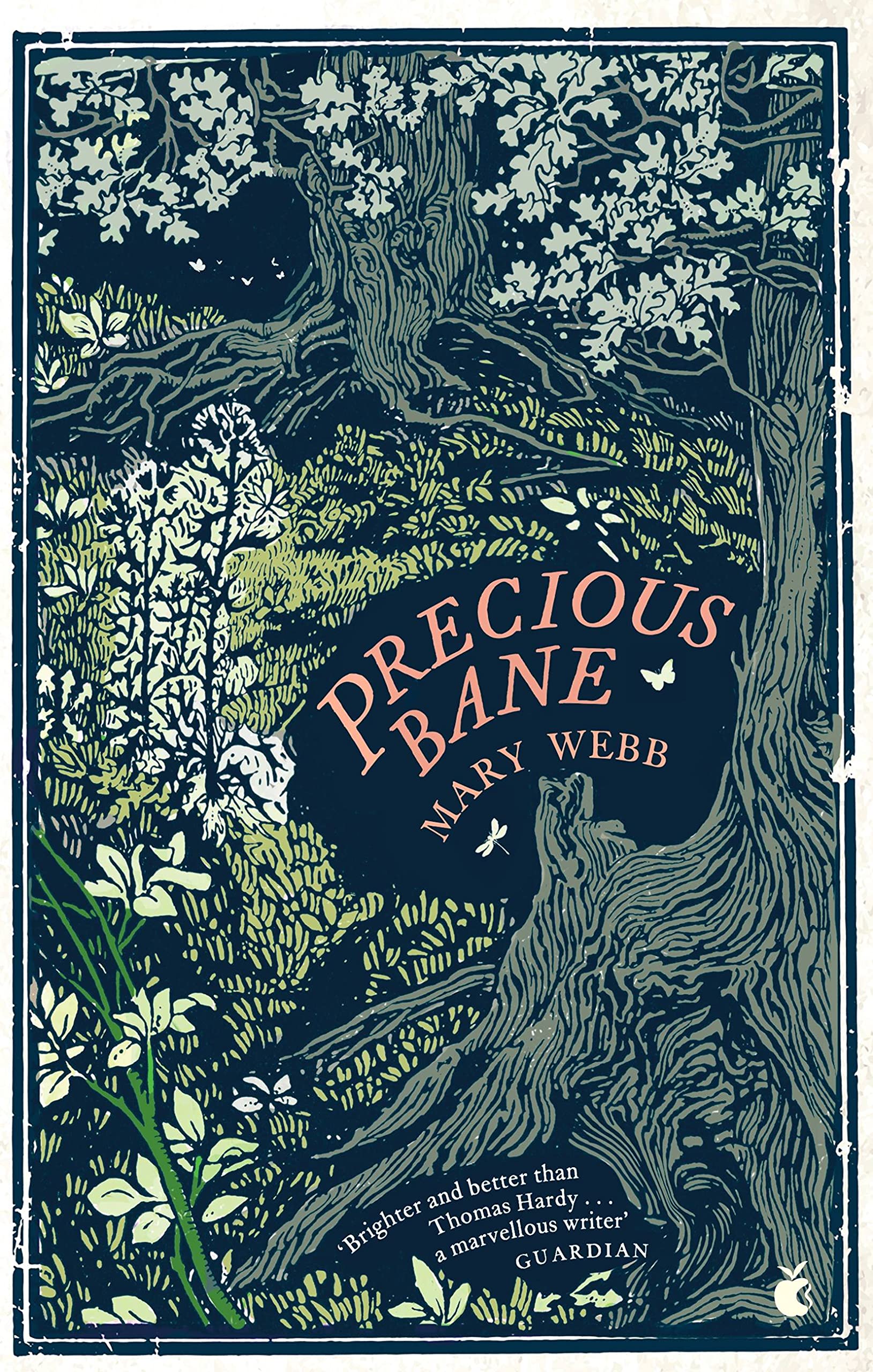 Precious Bane (Virago Modern Classics) By Mary Webb