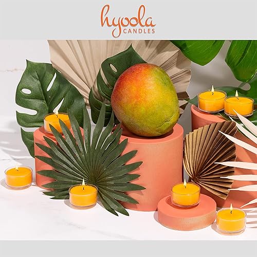 Miniatura 5 de HYOOLA Velas perfumadas de té  Taza transparente  Velas perfumadas de mango tropical  6 horas de tiempo de combustión  Paquete de 15  Fabricado en