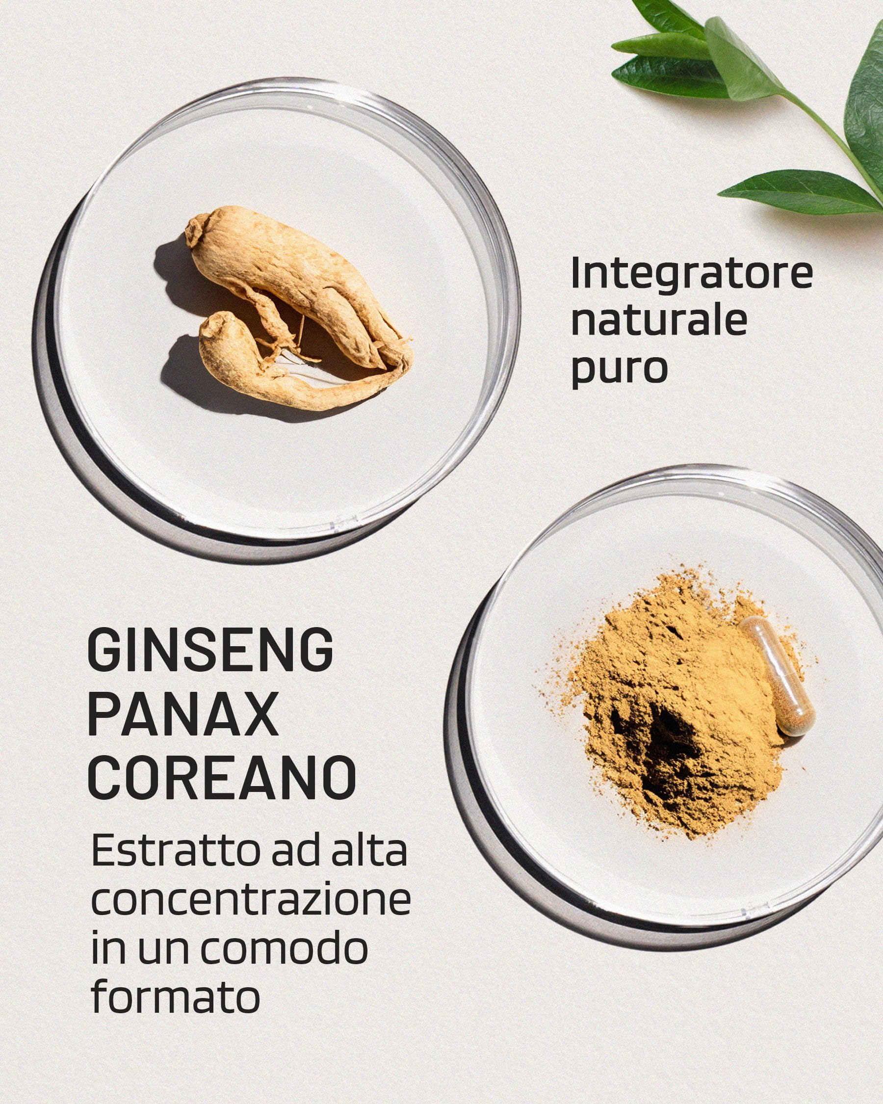 Panax Ginseng Rosso Coreano - Integratore Alimentare ad Alta Concentrazione 12.500 mg - Estratto di Radice di Ginseng con 30% di Ginsenosidi - 60 Capsule - Vegano