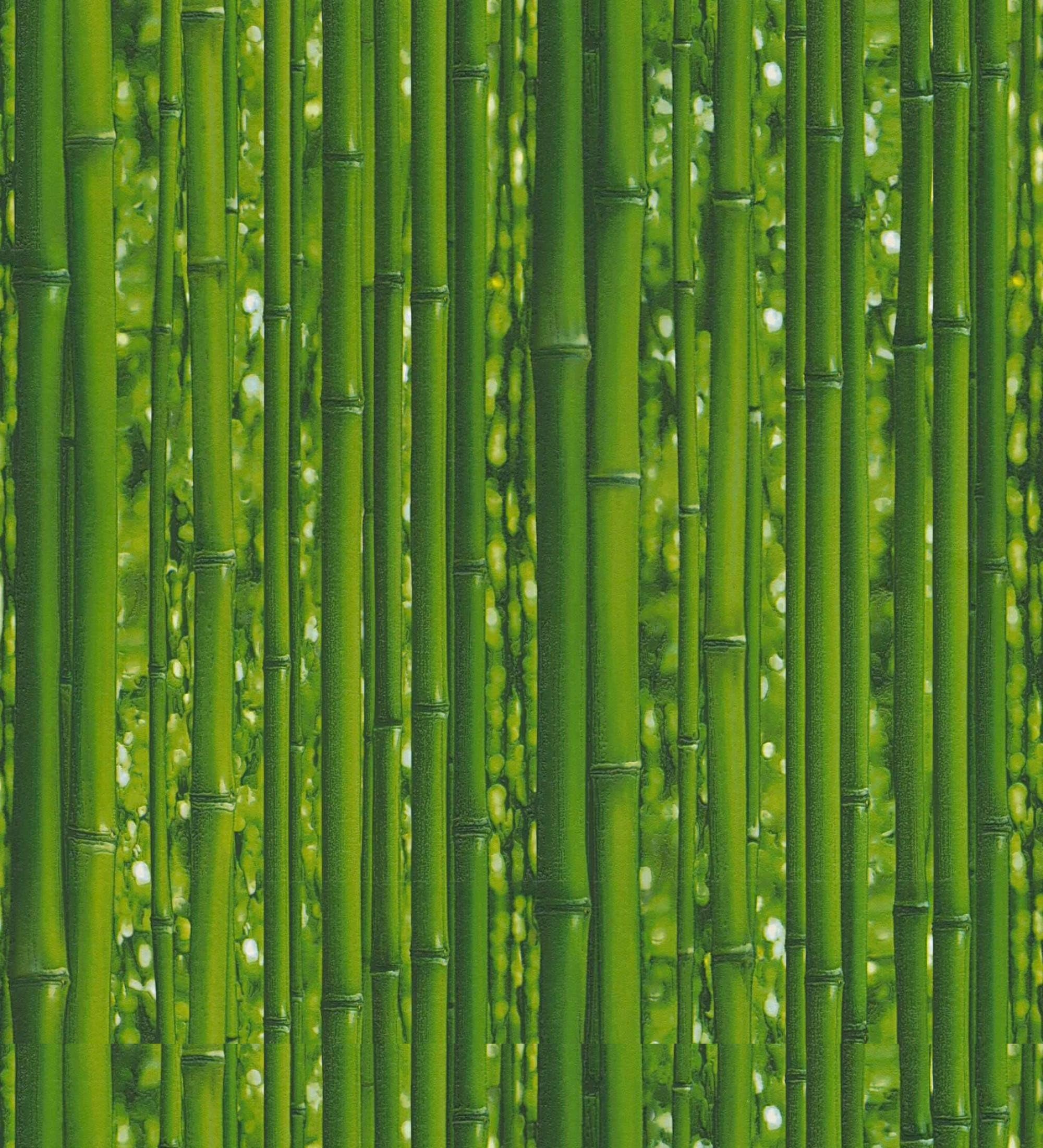 GAULAN 453906 - Papel pintado vinílico lavable de diseño de cañas de bambú verde tropical con textura en relieve para pared salón cocina baño dormitorio - Rollo de 10 m x 0,53 m