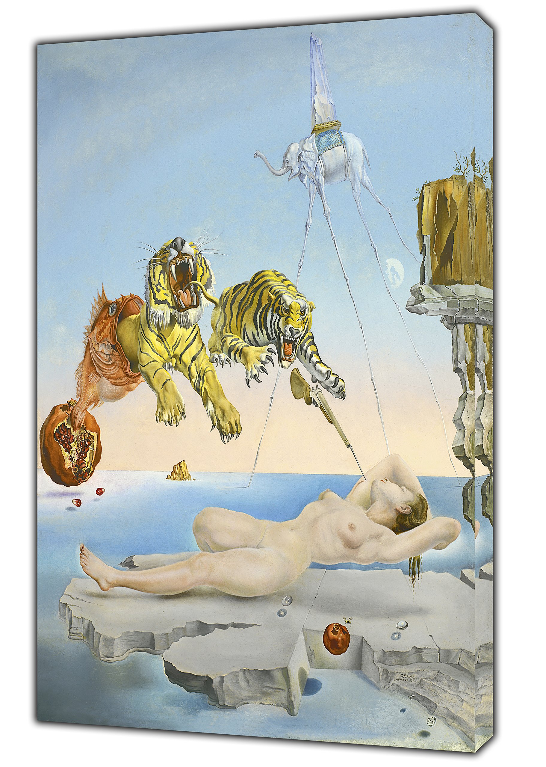 Artsprints Dream Caused By The Flight Of Bee Paint By Salvador Dali Reprint On Canvas Picture Wall Art Home Decoration 12X 8Inch -18Mm Depth