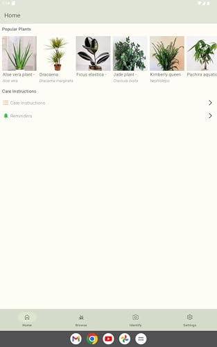 Plant Care - Identify Flowers