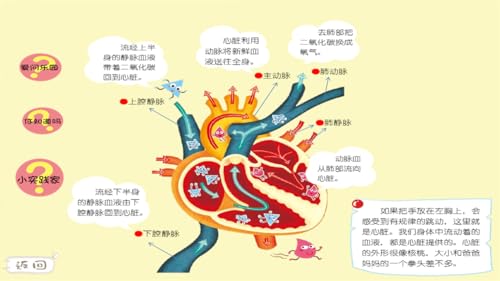 Secrets of Our Body