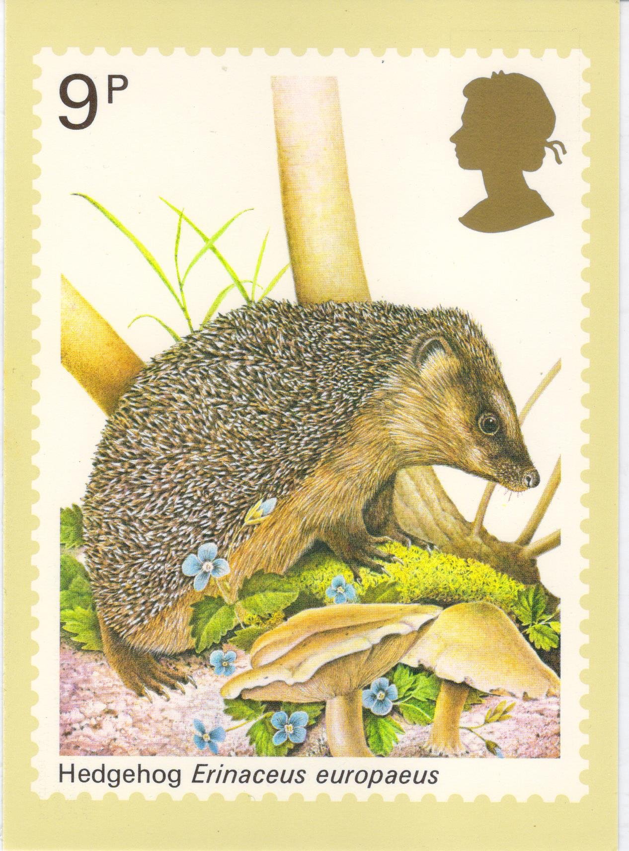 Hedgehog 1977 Royal Mail Stamp Postcard