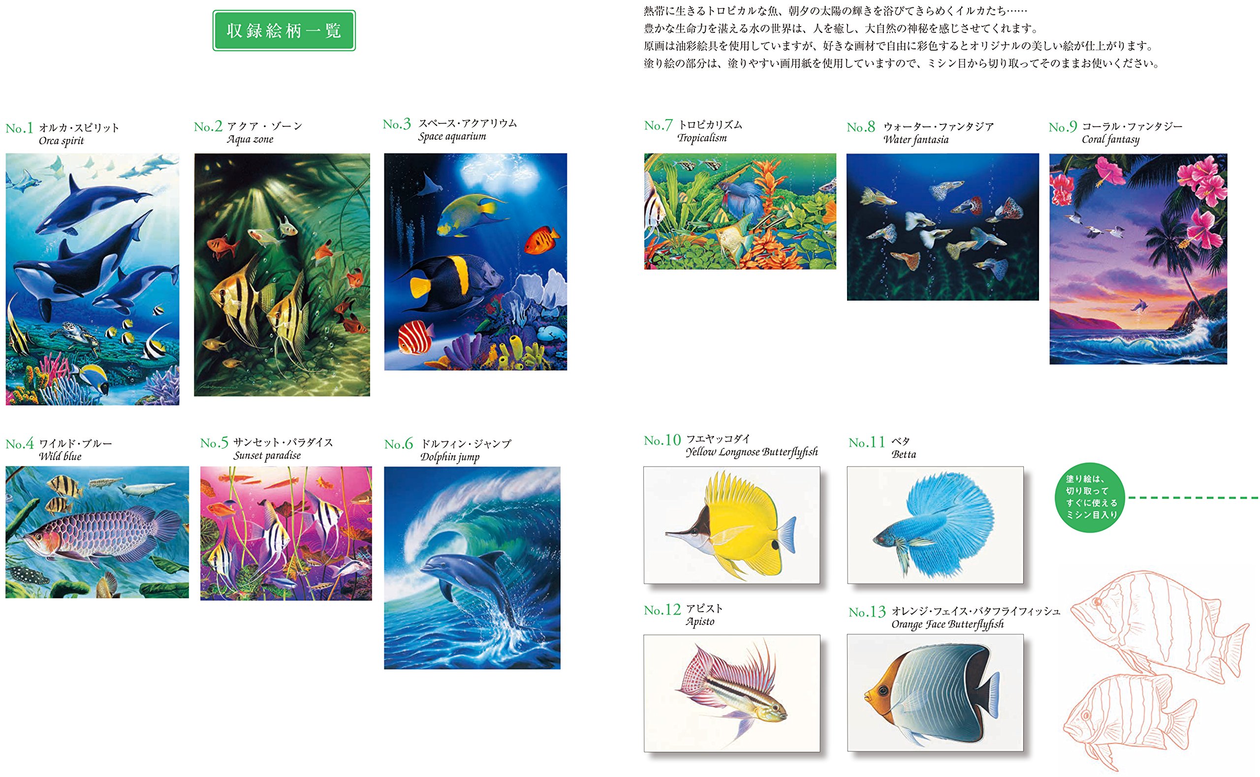 大人の塗り絵 海のファンタジー編 輝美 玉神 本 通販 Amazon