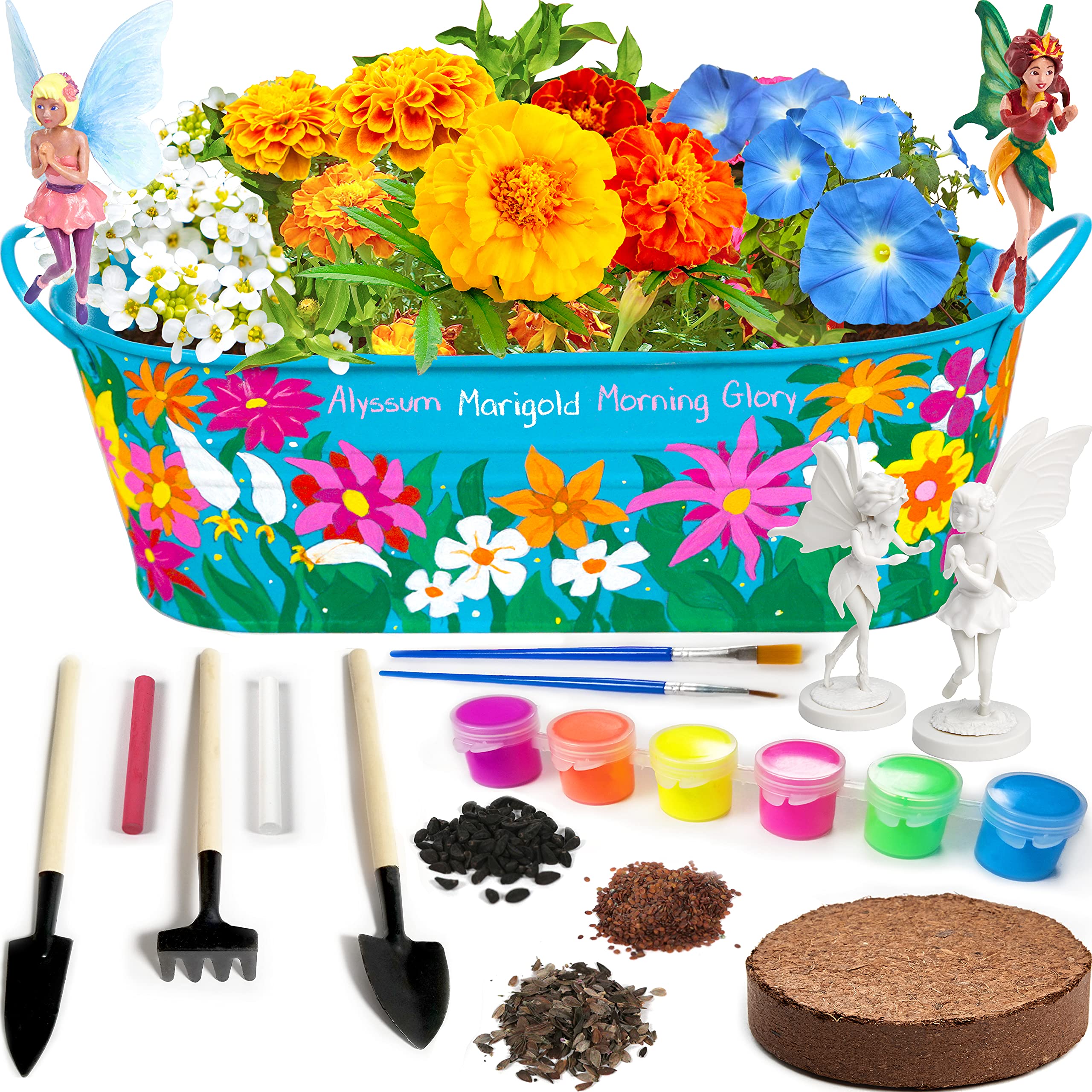 Buy Bryte Fairy Garden Flower Growing Kit Includes Tin er, 2 Paintable
