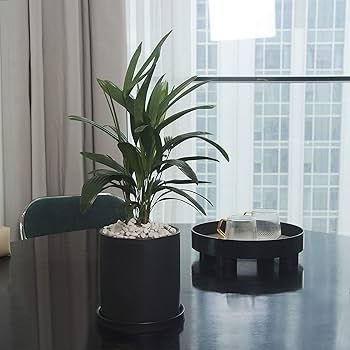 大型　陶器の植木鉢　黒 信楽焼 植木鉢 陶器 大型 黒マット 松皮 中深鉢 9号（外径27.0cm 高さ