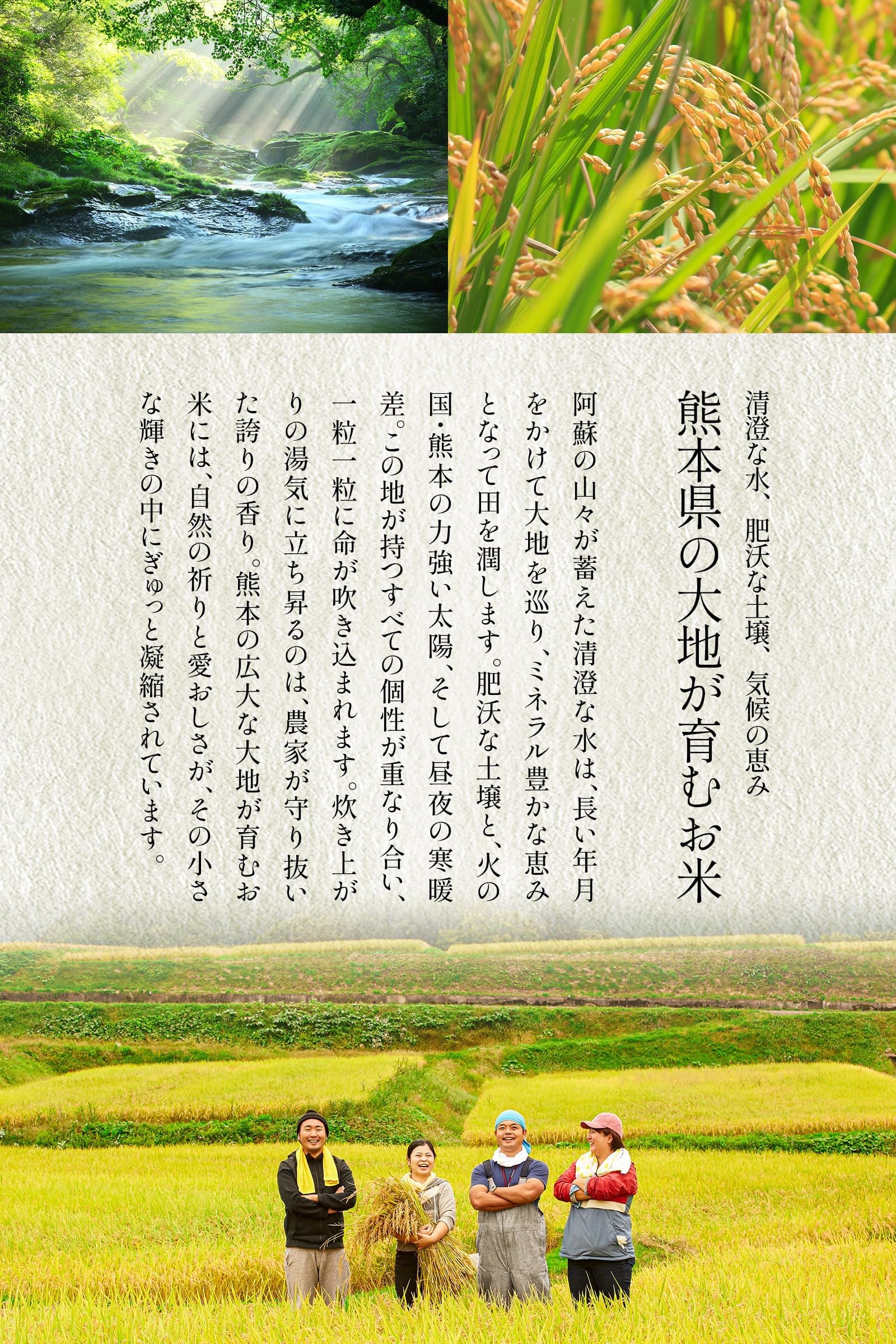 Amazon.co.jp: 【白米 20kg 森のくまさん 】令和7年産 熊本県産