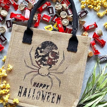 Briartw Happy Halloween Silkscreen Stencil Spider Web Reusable Self-Adhesive Mesh Stencils Silk Screen Stencil Printing for Polymer Clay Home Decoration Printing on Wood Fabric Wall Cup Plate