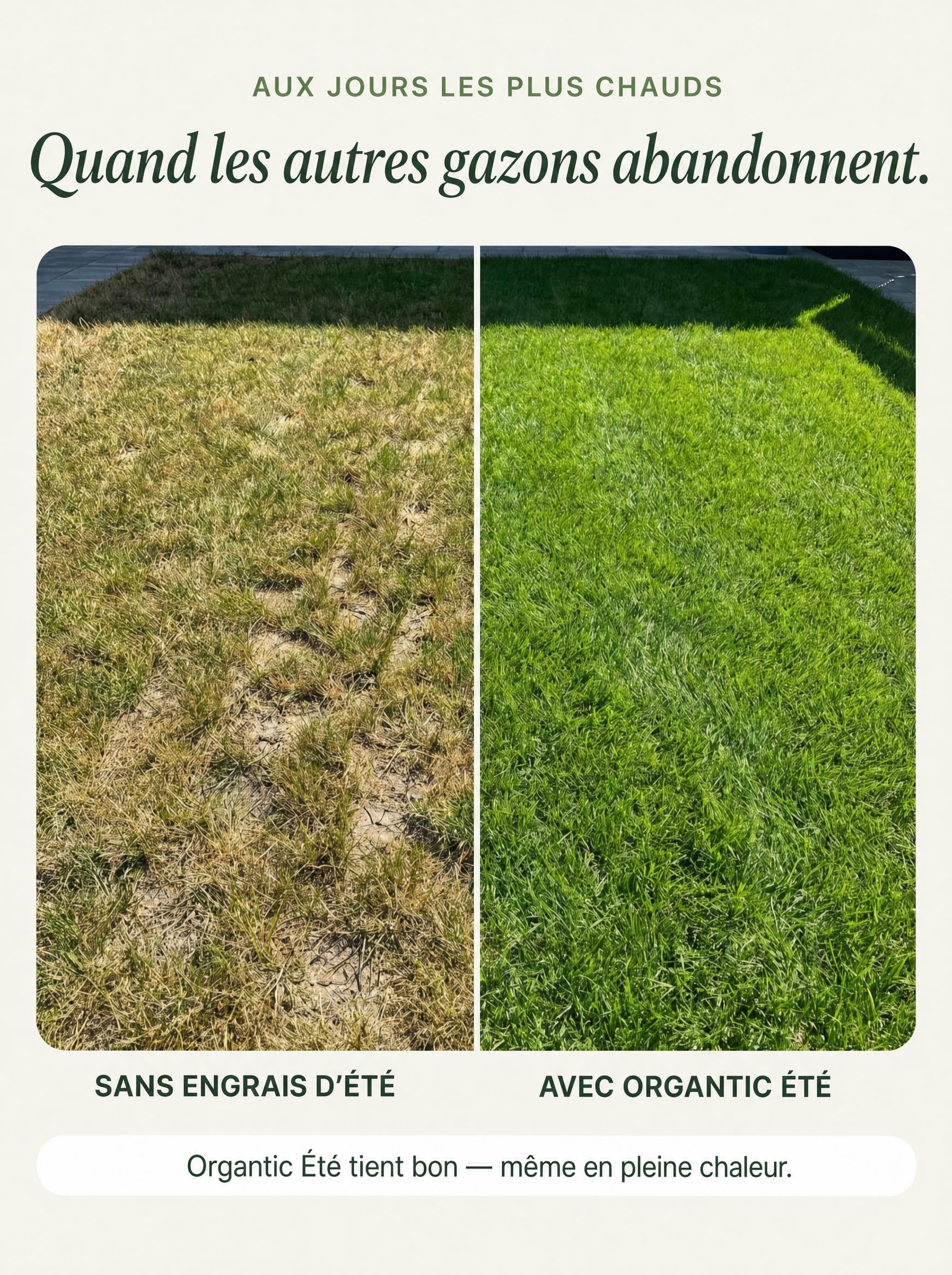 Engrais Gazon Été 5kg - Engrais Riche en Azote Anti Mousse Résistant Sécheresse Granulés Sans Poussière Compatible Épandeur