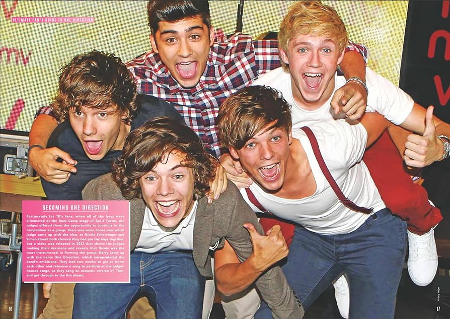 The Ultimate One Direction Fan Pack - featuring a double