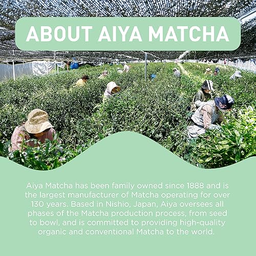 Vista 12 de Aiya Gyokuro orgánico con infusión de matcha Té verde matcha ceremonial orgánico, gyokuro orgánico 10