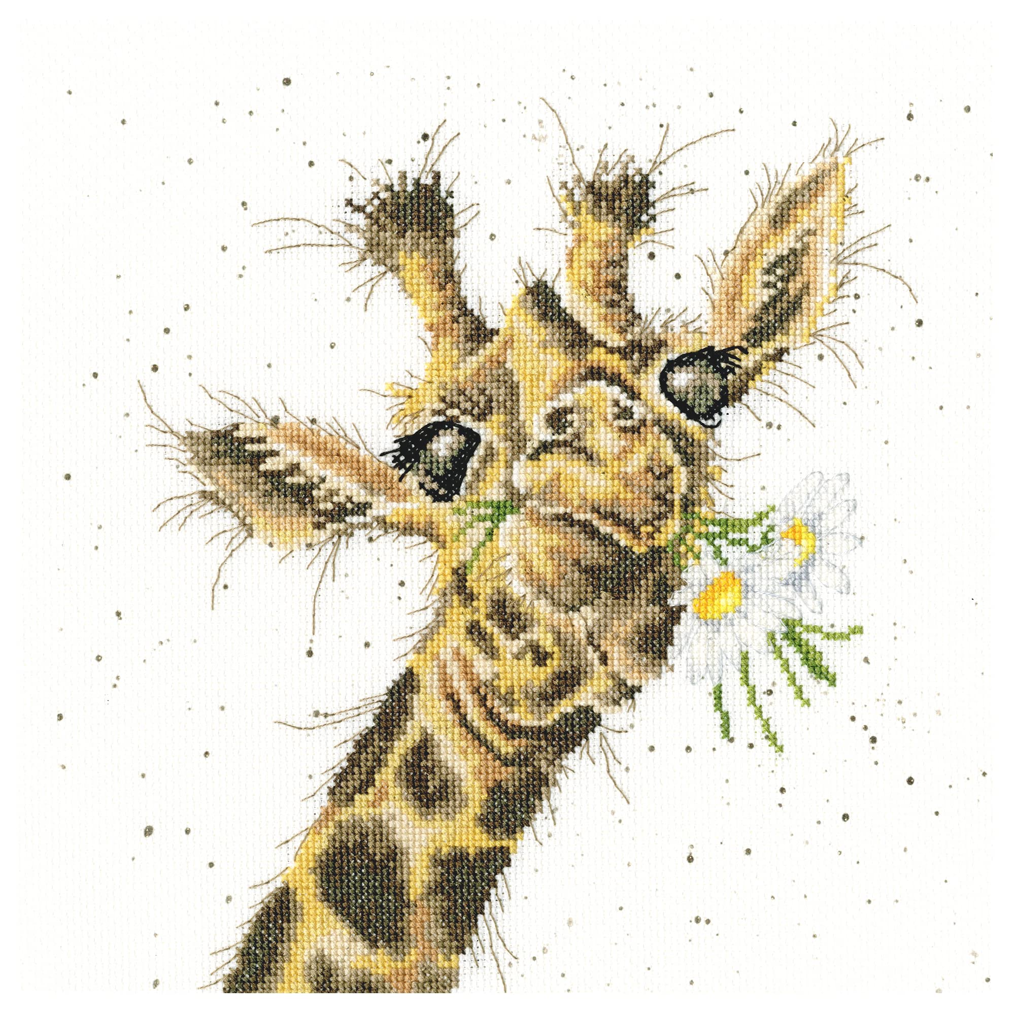 Bothy Threads Cross Stitch Kit - Thanks A Bunch