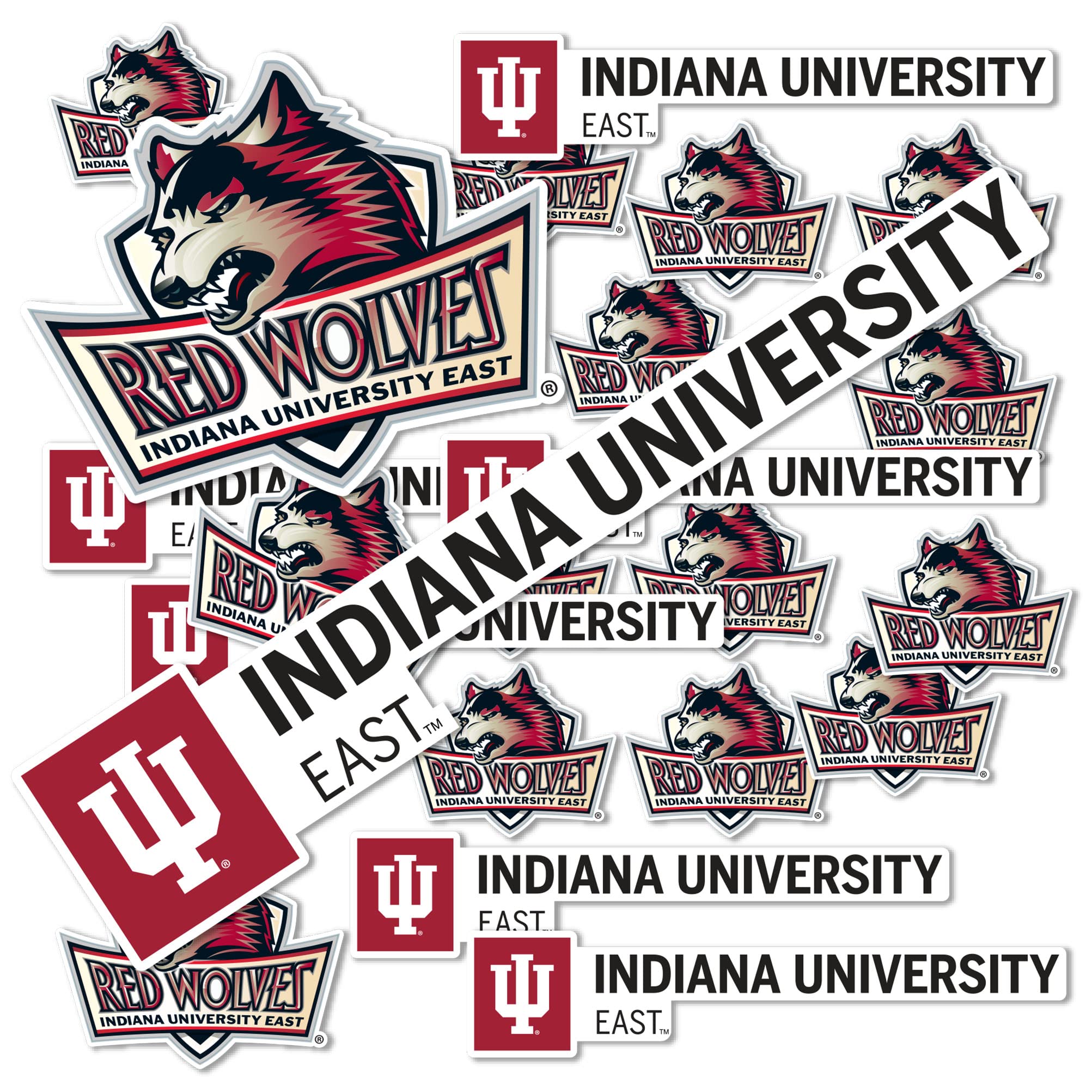 Desert Cactus Indiana University Sticker East Vinyl Decals Laptop Water Bottle Car Scrapbook T1 (Type 1-1)
