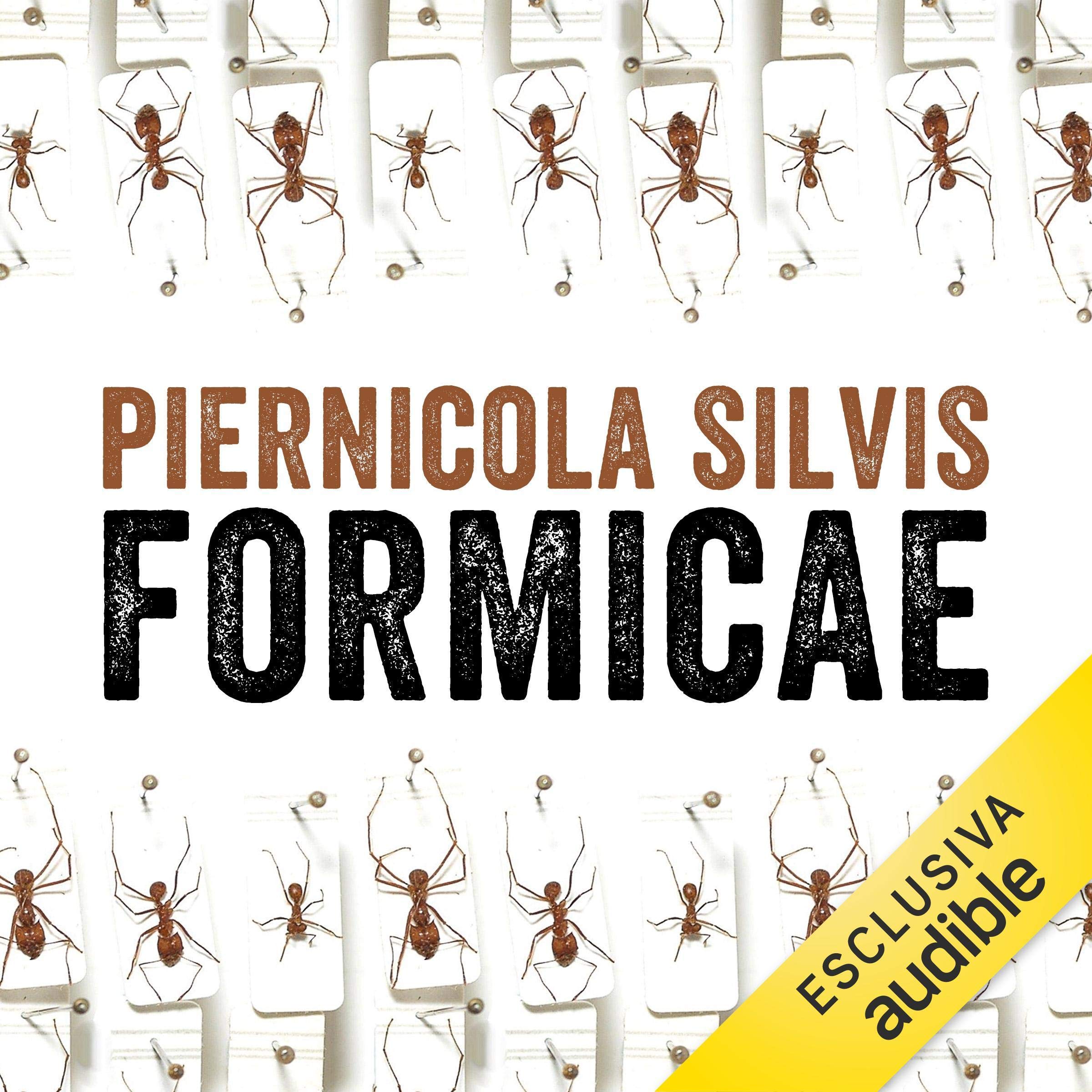 Cover art for Formicae