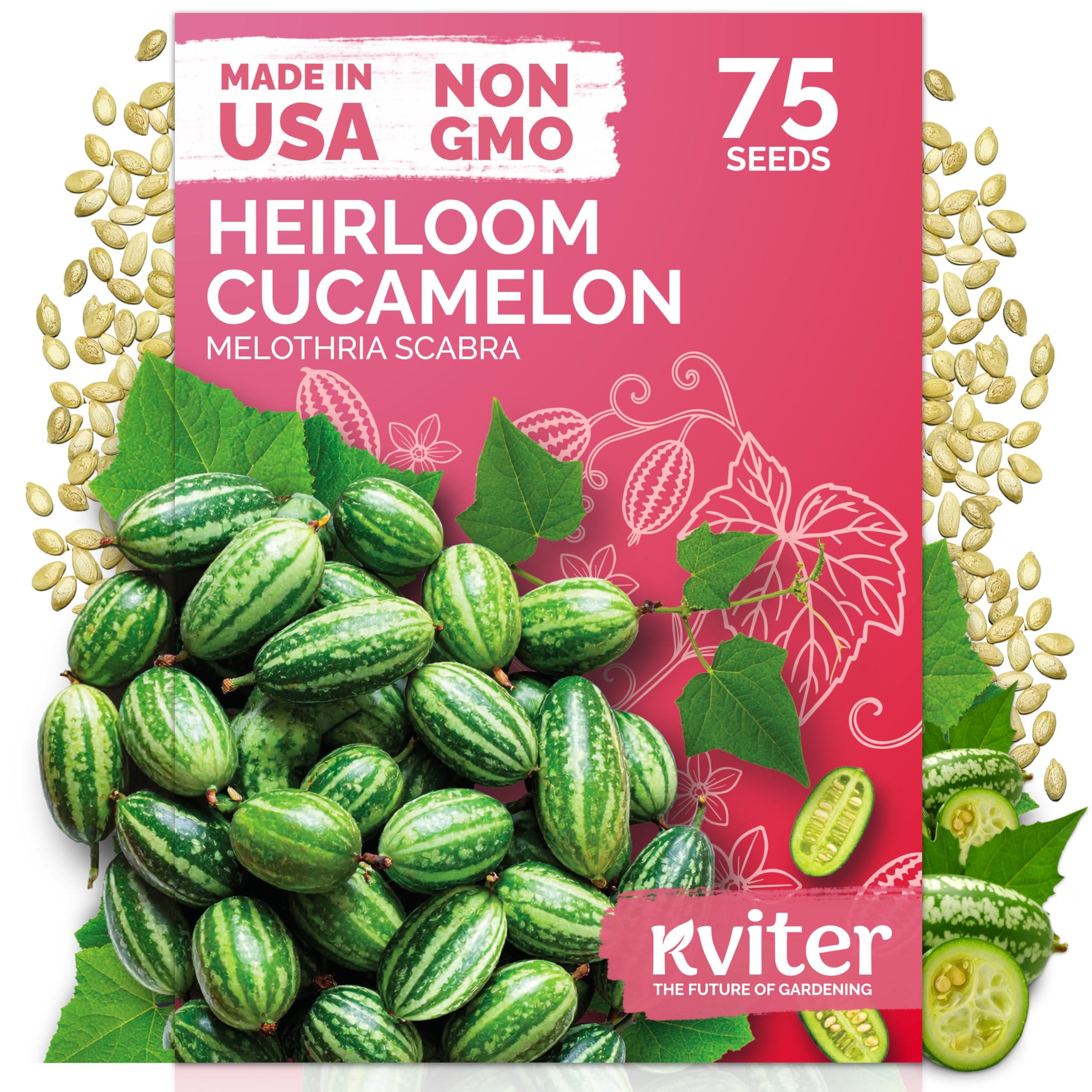 Amazon.com: KVITER 75 Cucamelon Seeds for Planting (Melothria