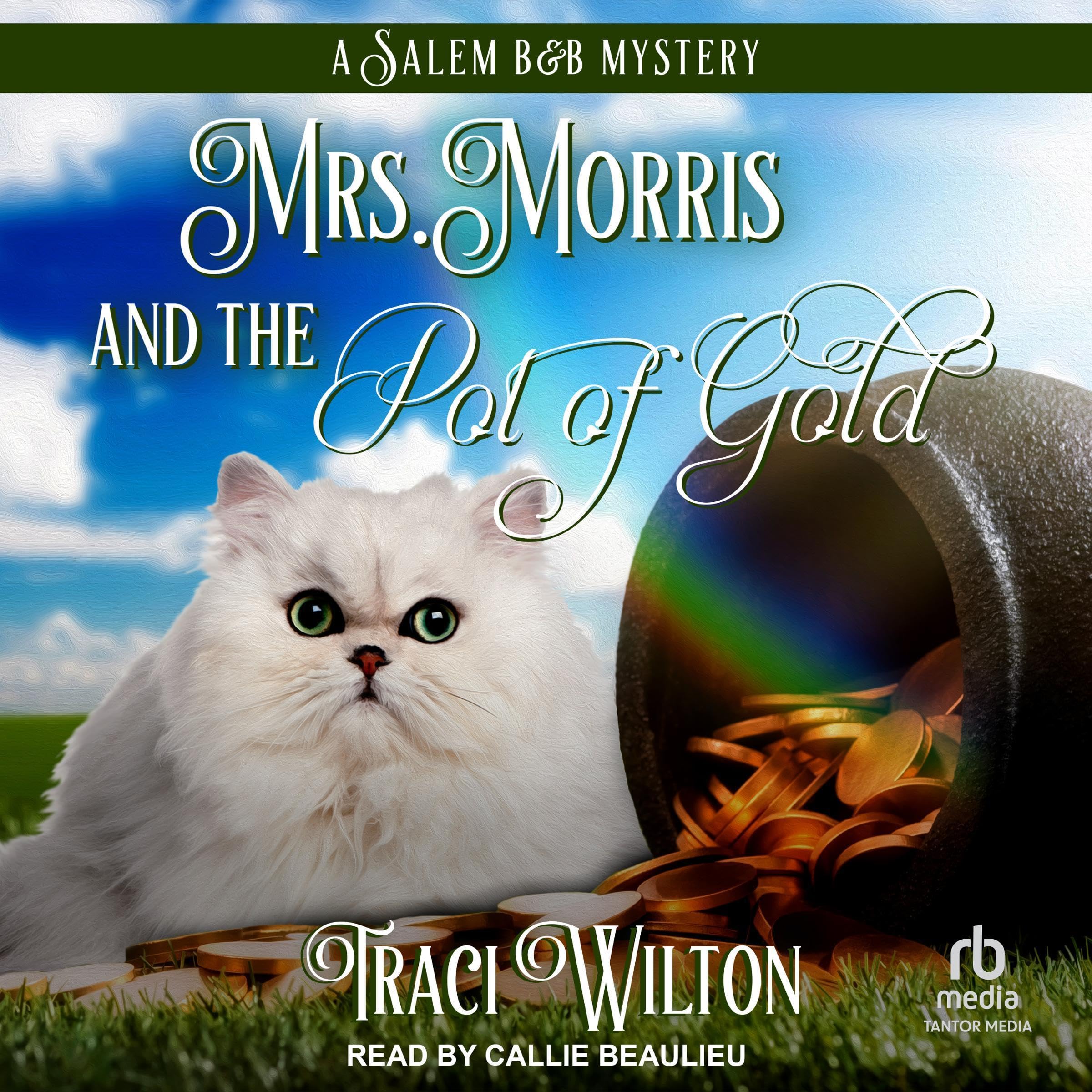 Cover art for Mrs. Morris and the Pot of Gold