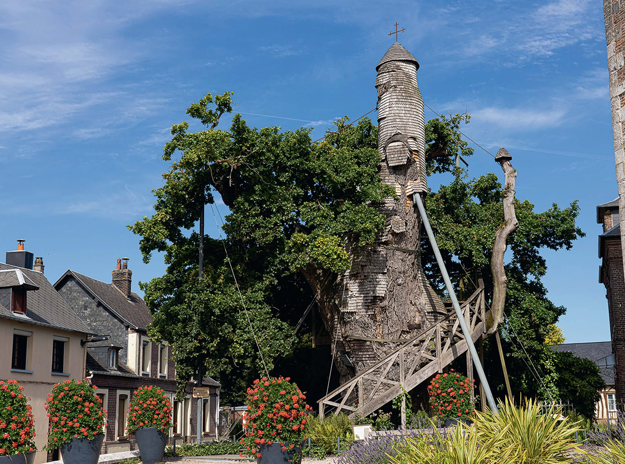 Les Arbres les plus remarquables de France