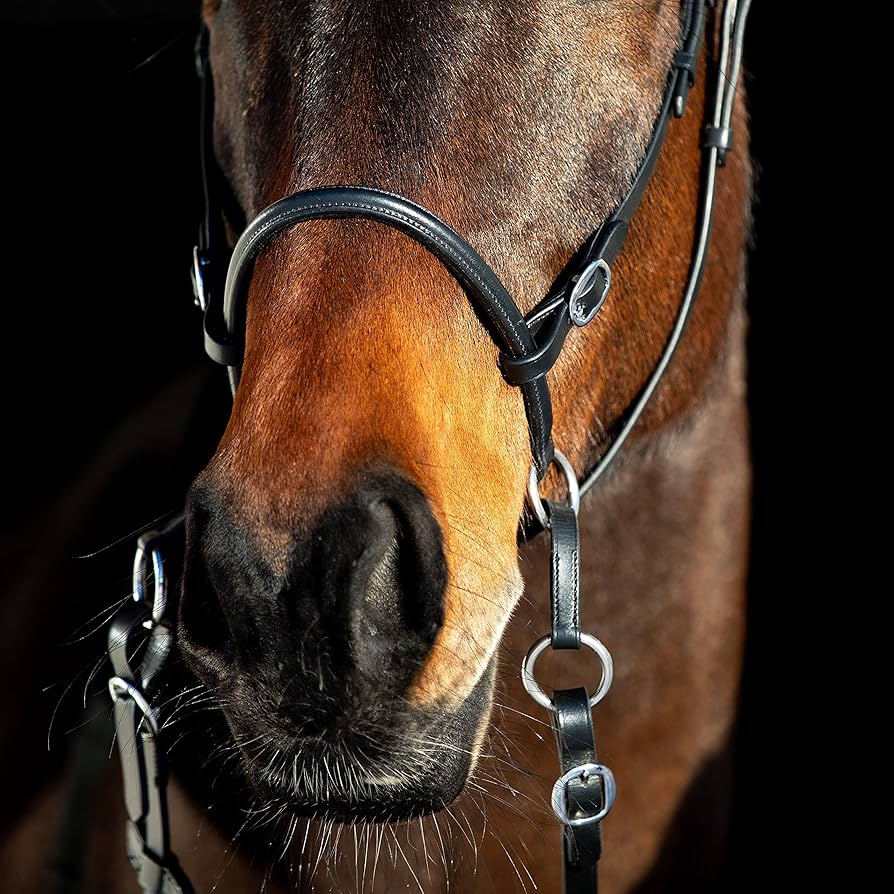 Do You Know The Difference Between A Bridle And A Halter?, 49 OFF