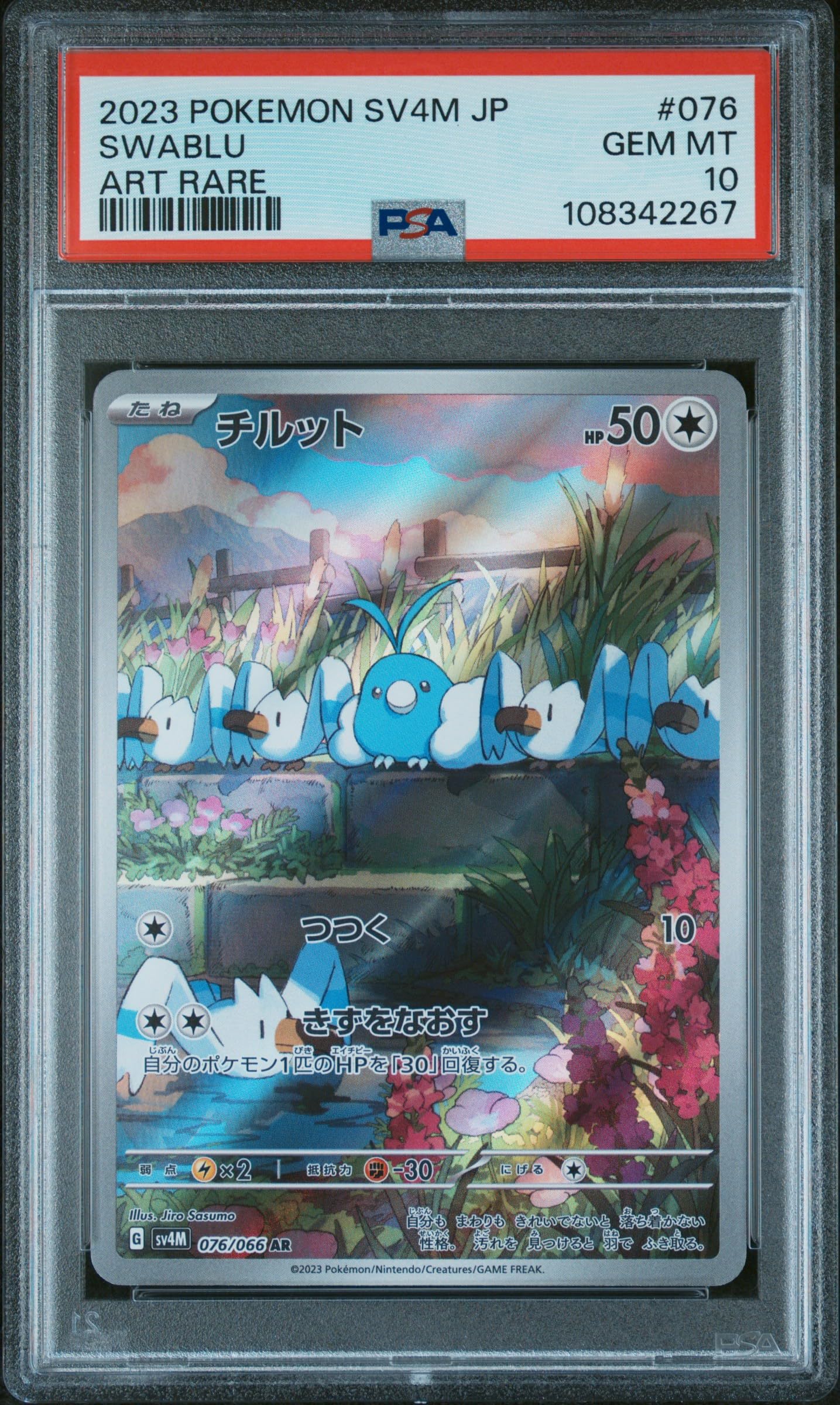Amazon.com: Pokemon TCG Japanese, PSA Graded 10 GEM Mint