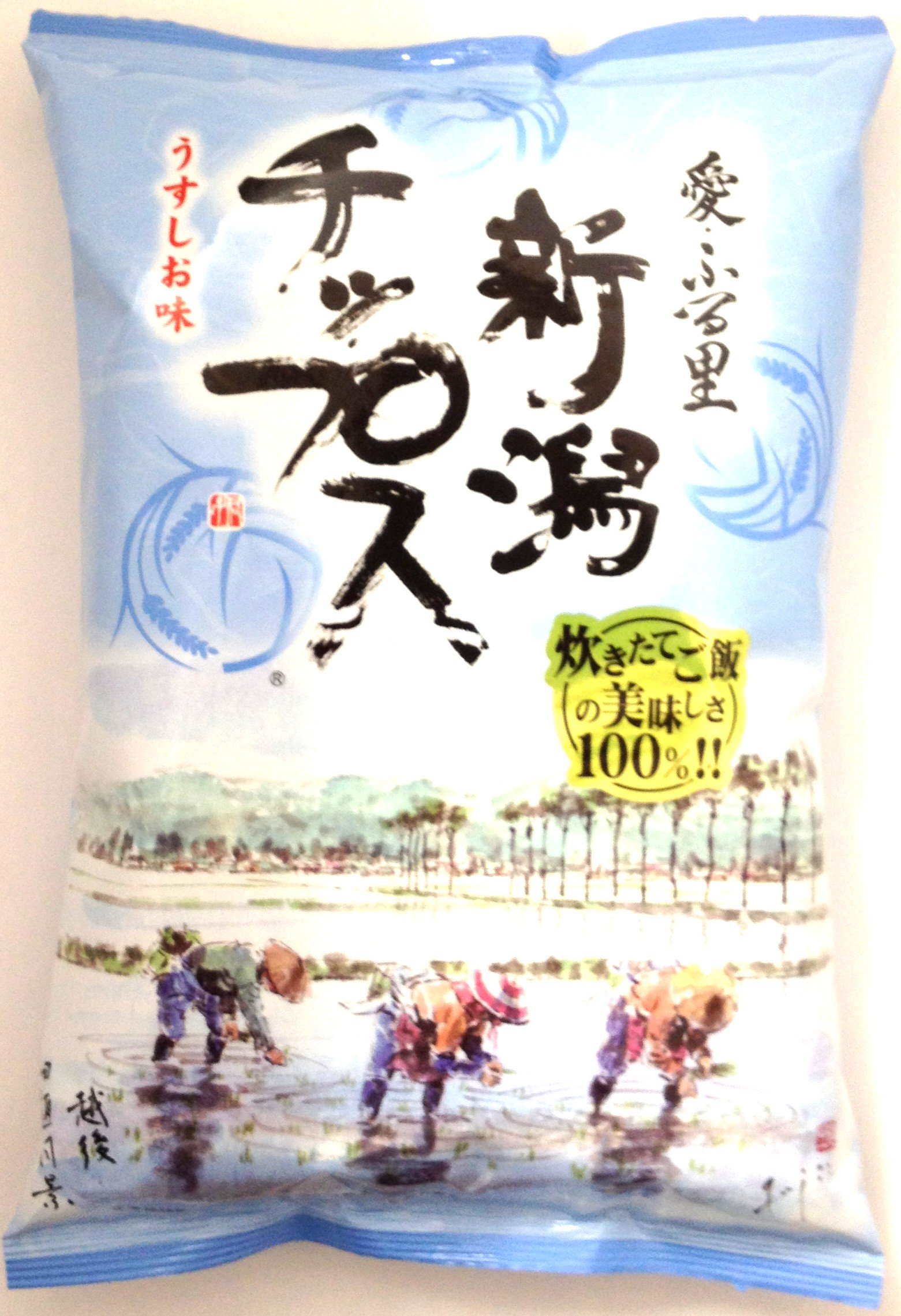 新潟チップス うすしお味100g×12袋 新潟チップス 4袋詰め合わせ - 新潟県