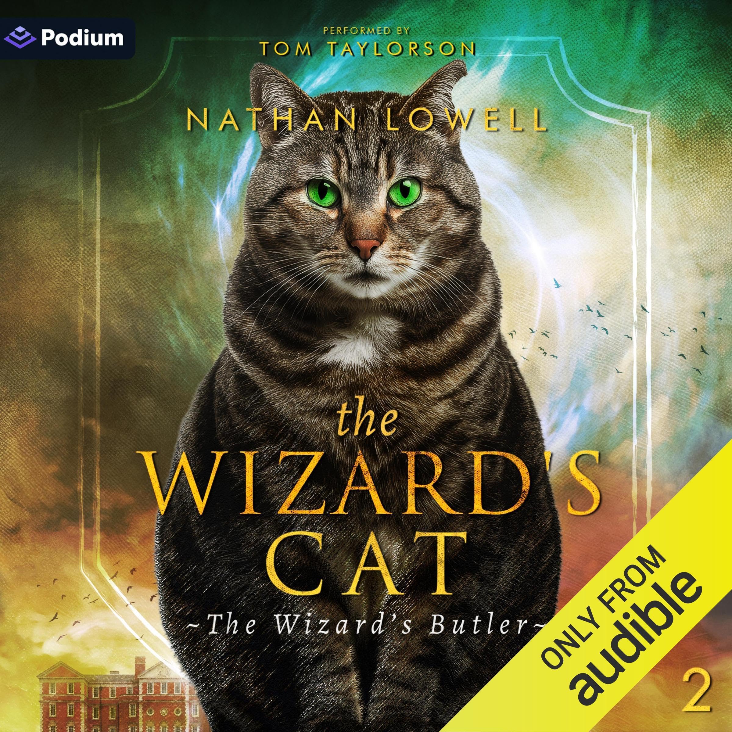 Cover art for The Wizard's Cat