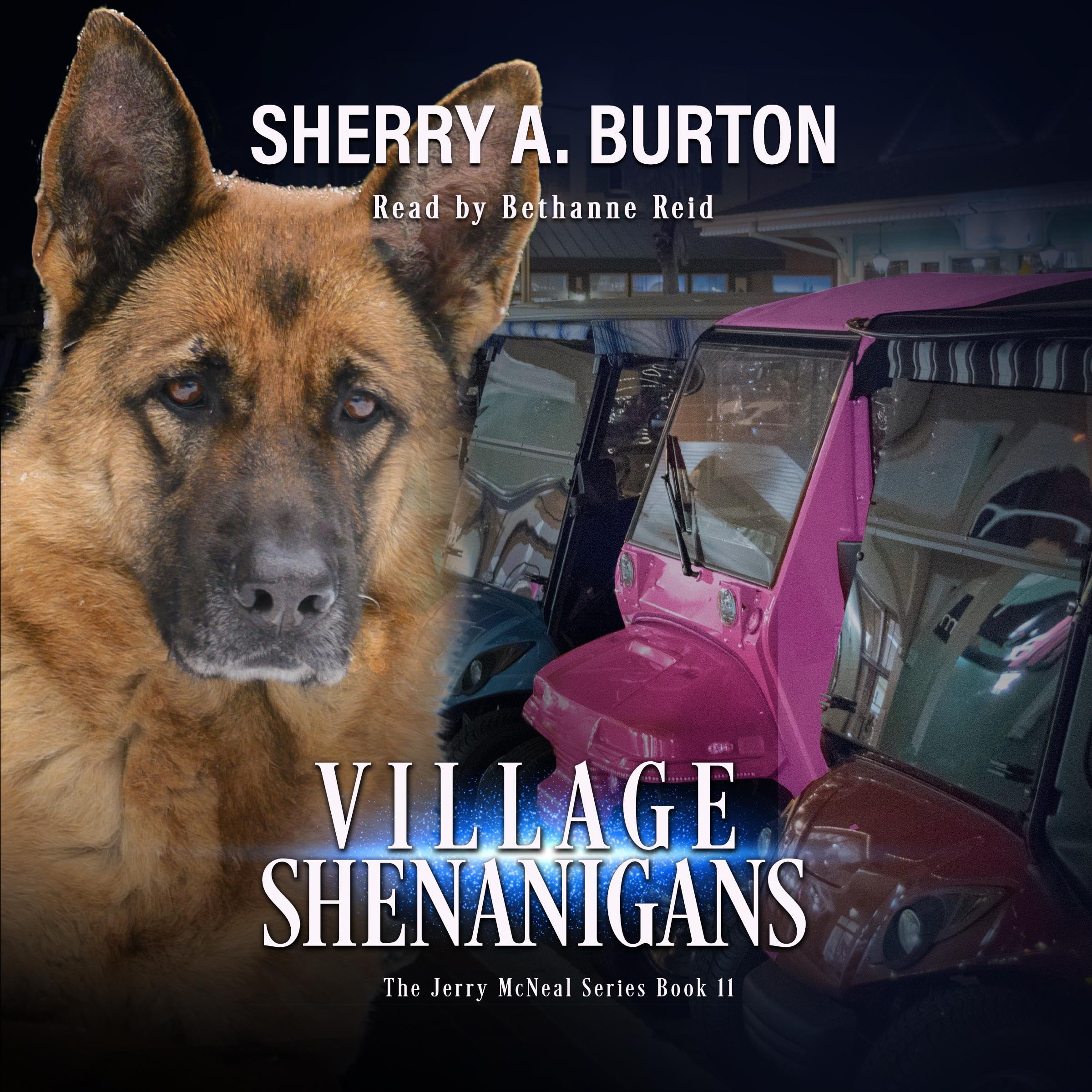 Cover art for Village Shenanigan: A Paranormal Snapshot