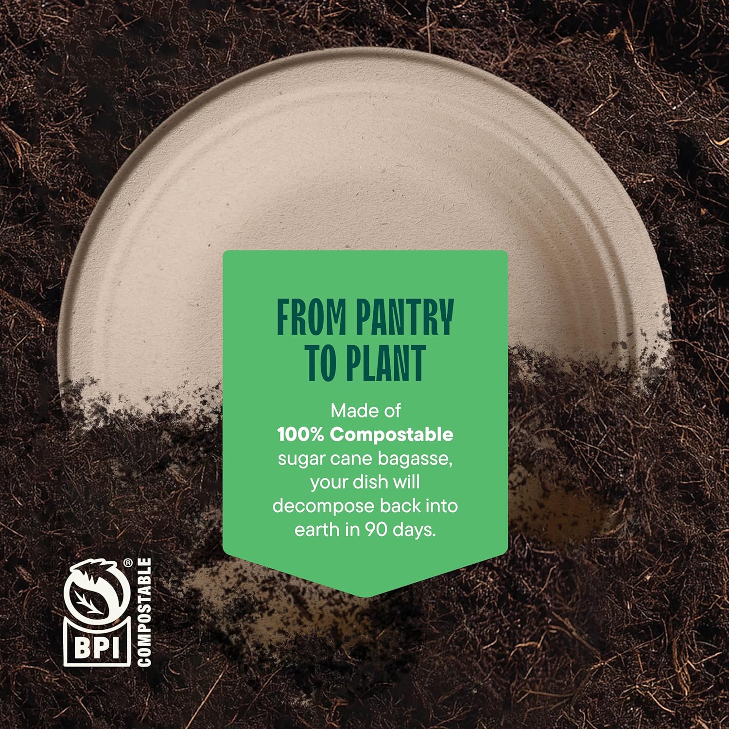 Deep Dish Paper Plates, Heavy Duty Disposable Dinner Plates [125-Pack] 9 Inch Plates - 100% Compostable Eco-Friendly, Biodegradable Sugarcane Bagasse, Natural Brown 9" Paper Plate Disposable - Image 6