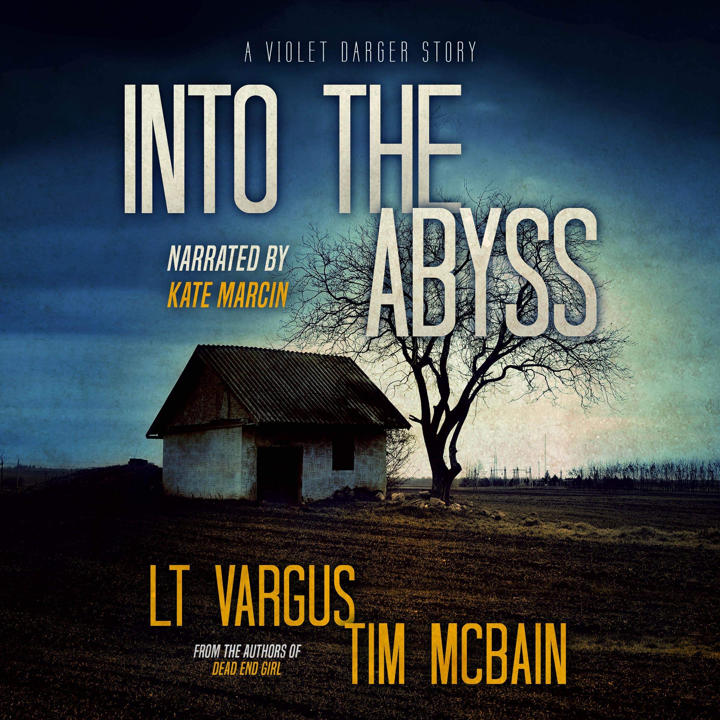 Cover art for Into the Abyss