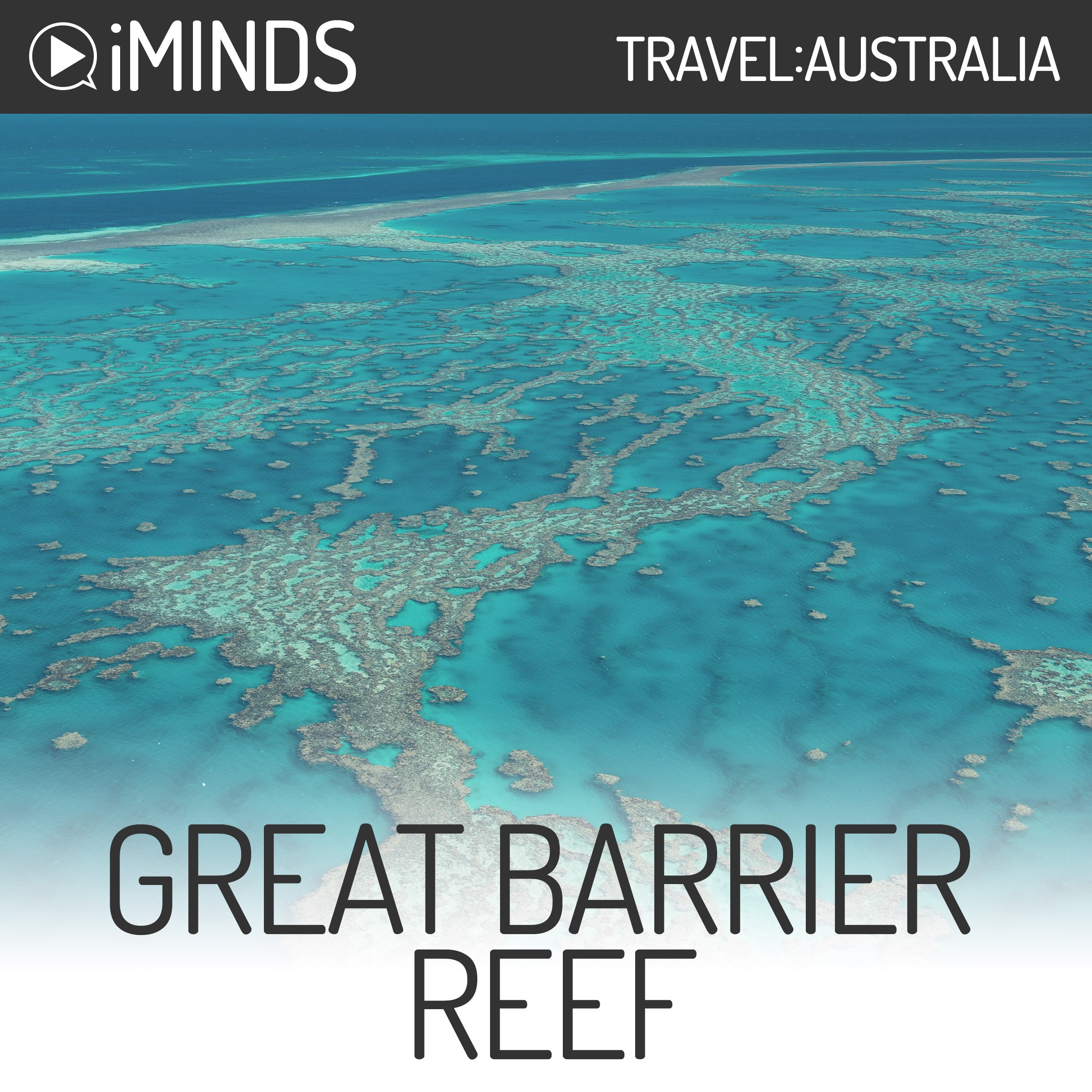 Cover art for Great Barrier Reef