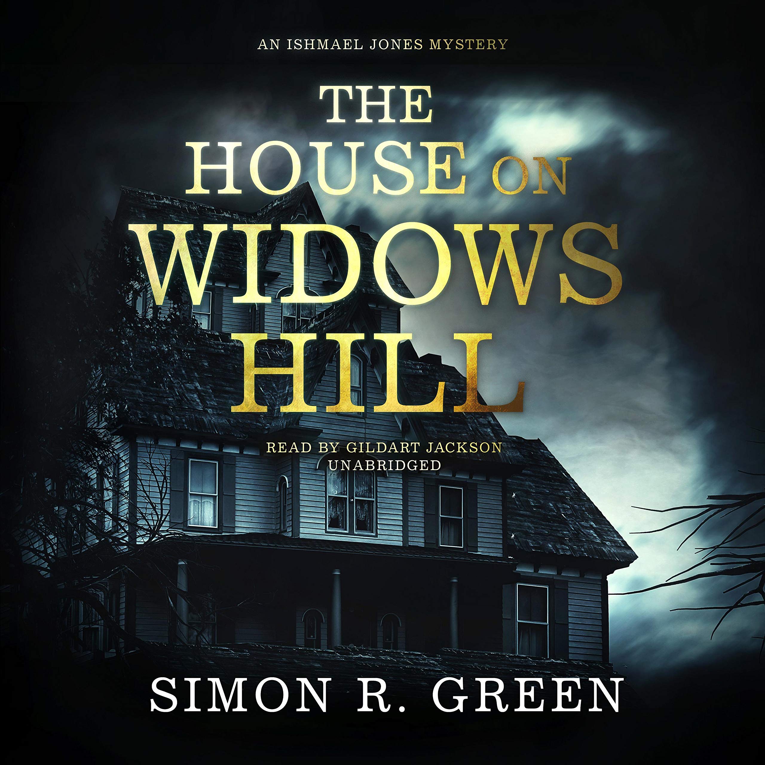 Cover art for The House on Widows Hill