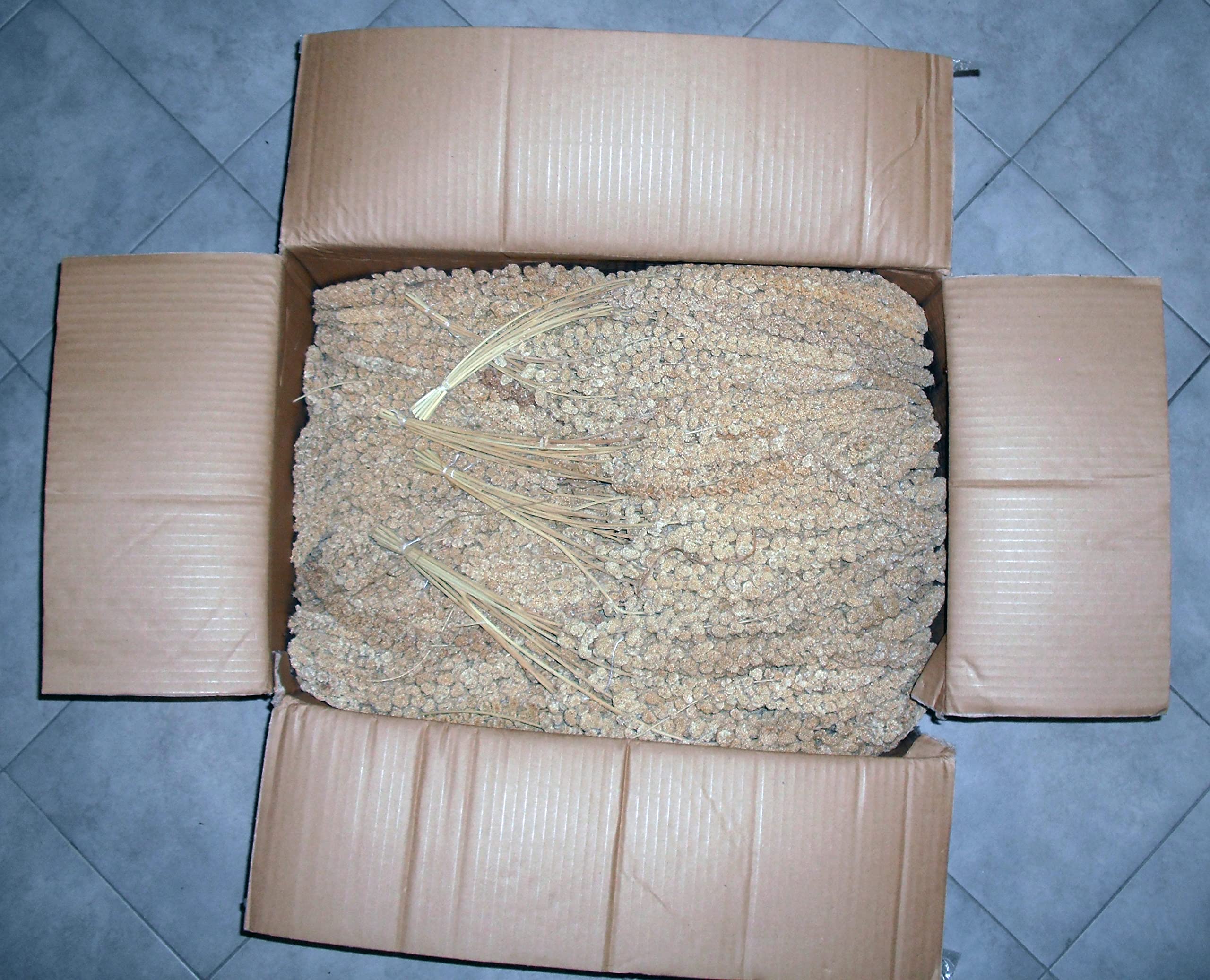 Spighe di Panico da 3 kg Sfuse Esotici, cocorite, ondulati, pappagalli